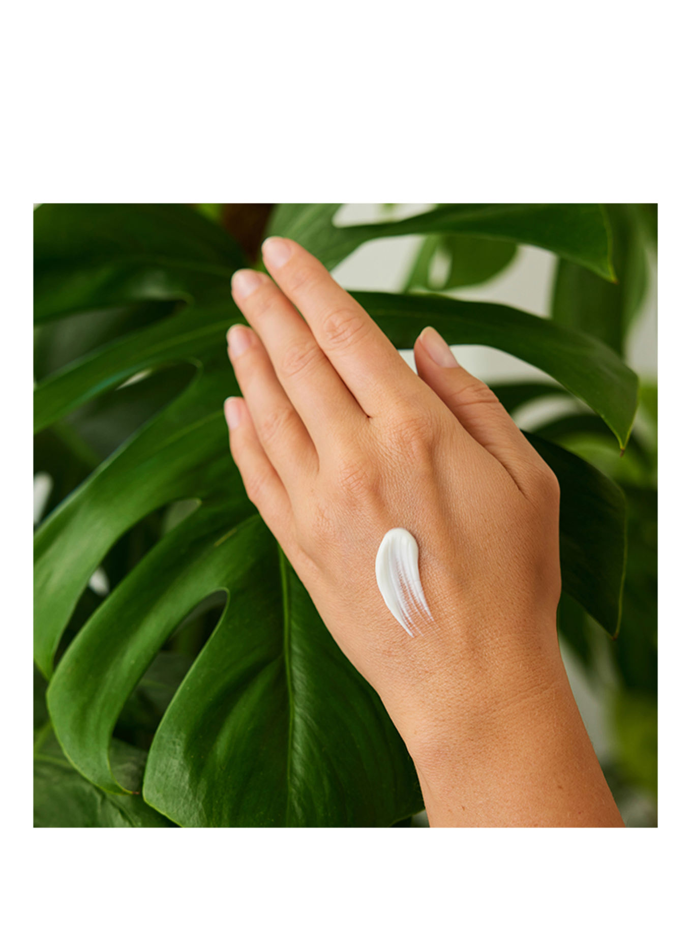 WELEDA CRÈME POUR LES MAINS EXPRESS À L'ARGOUSIER