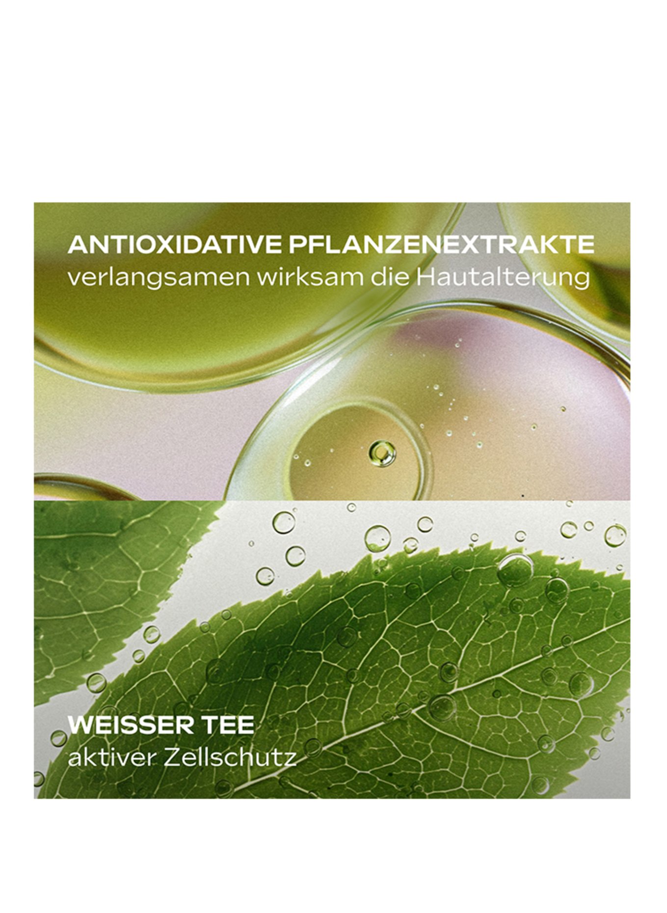 WELEDA SLOW AGING ASTAXANTHINE SERUM DRUPPELS
