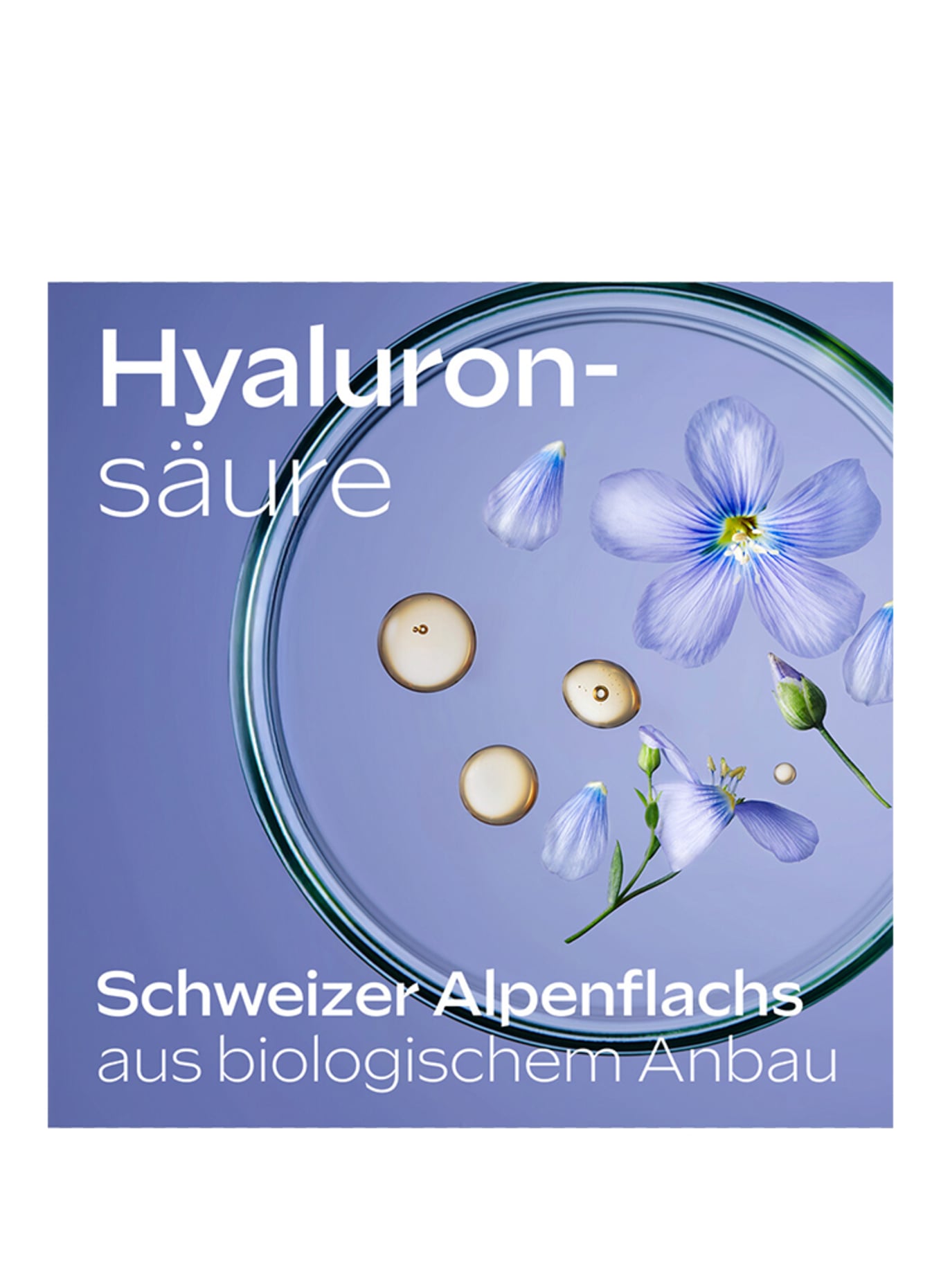 WELEDA HYDRATERENDE SHAMPOO ALPINE FLAX