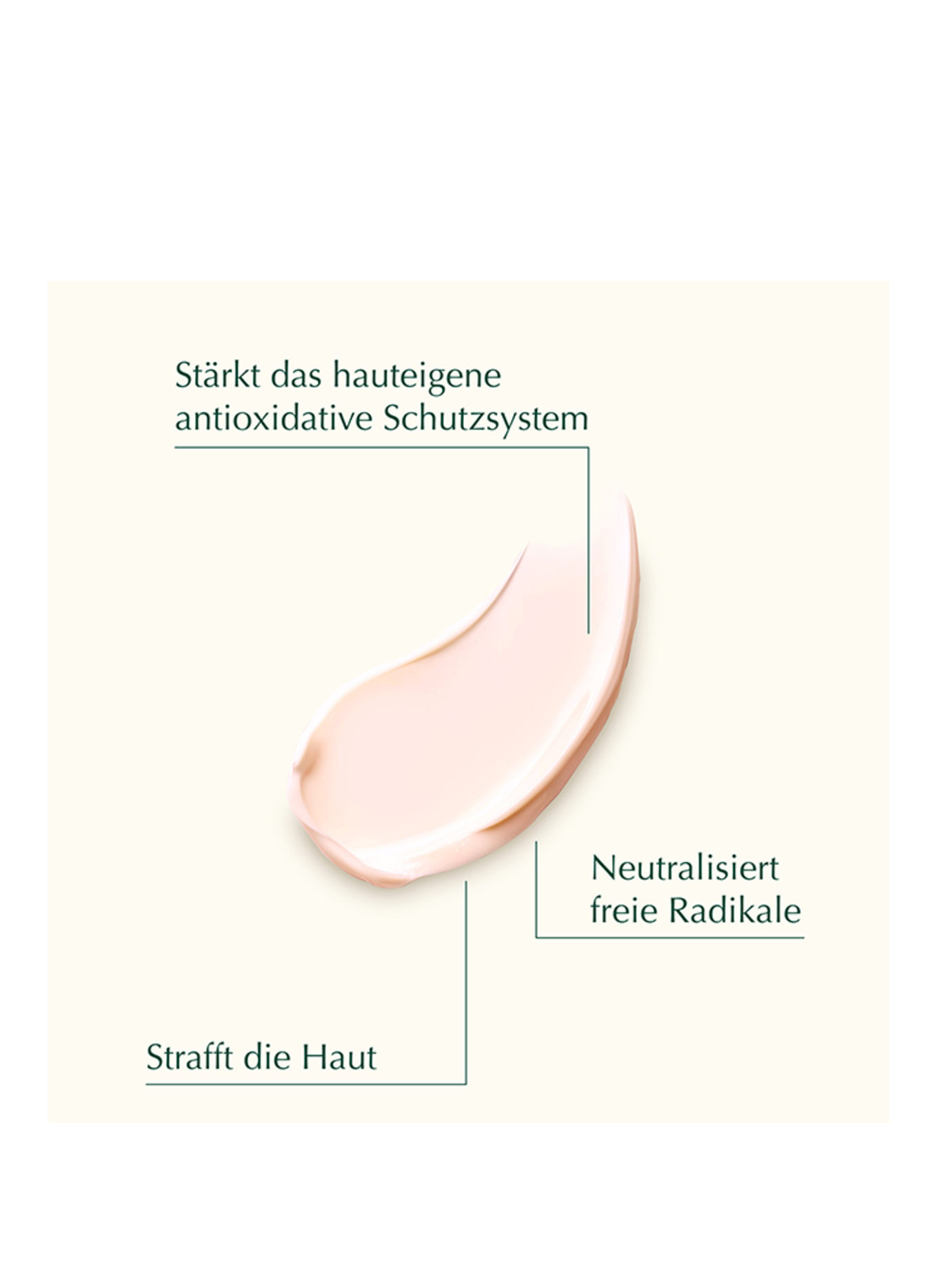 WELEDA Cell Longevity CELL LONGEVITY ULTRA PROTECT &amp; LIFT ADVANCED DAY CREAM