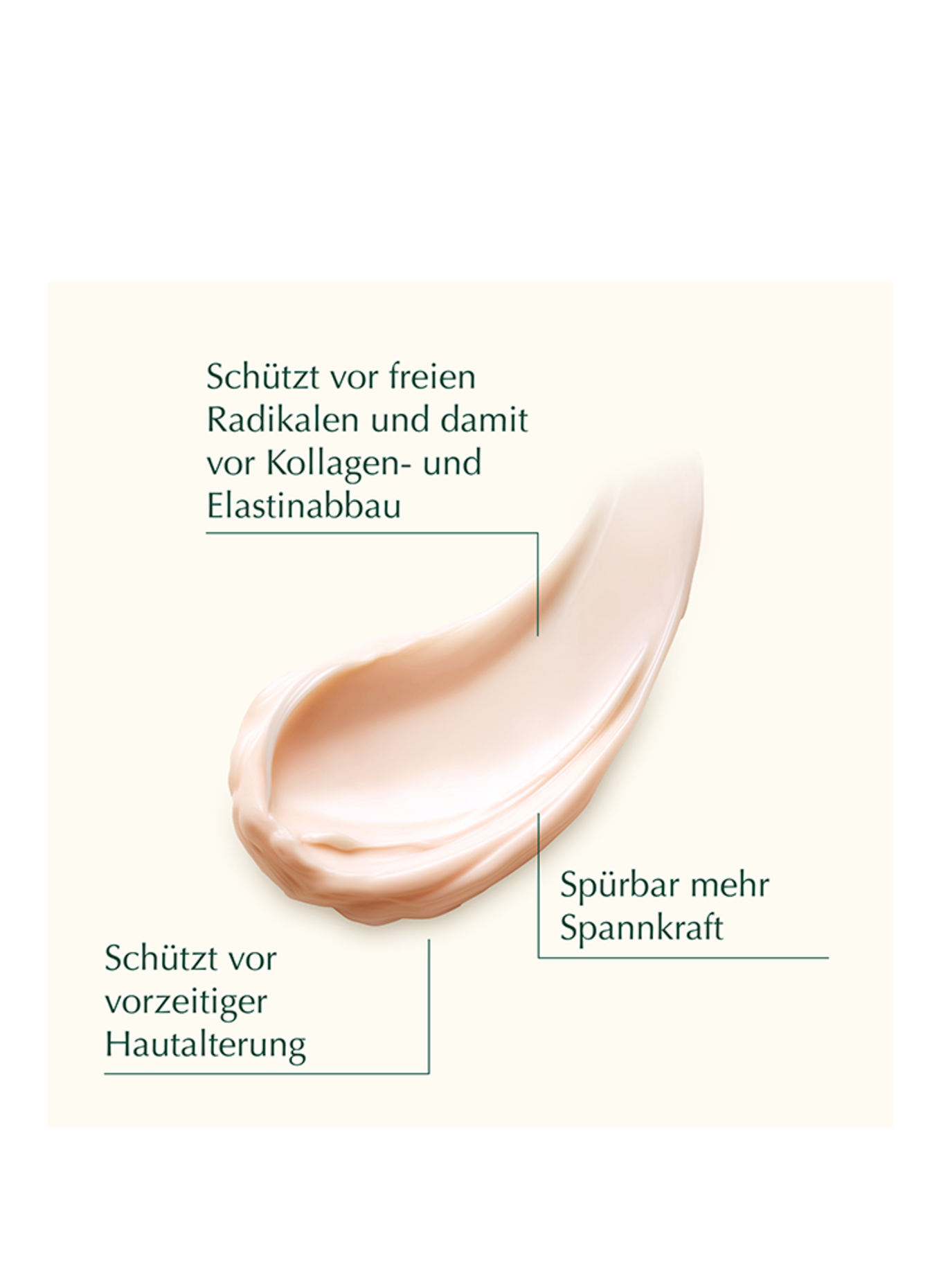 WELEDA Cell Longevity CELL LONGEVITY ULTRA PROTECT &amp; LIFT ABSOLUTE NIGHT RECOVERY CREAM