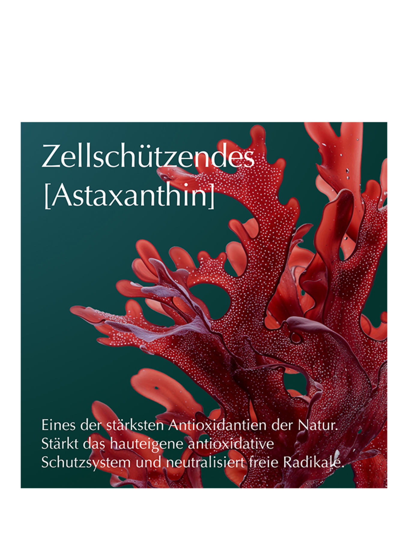 WELEDA Cell Longevity CELL LONGEVITY ULTRA PROTECT &amp; LIFT EYE PERFECTION CREAM