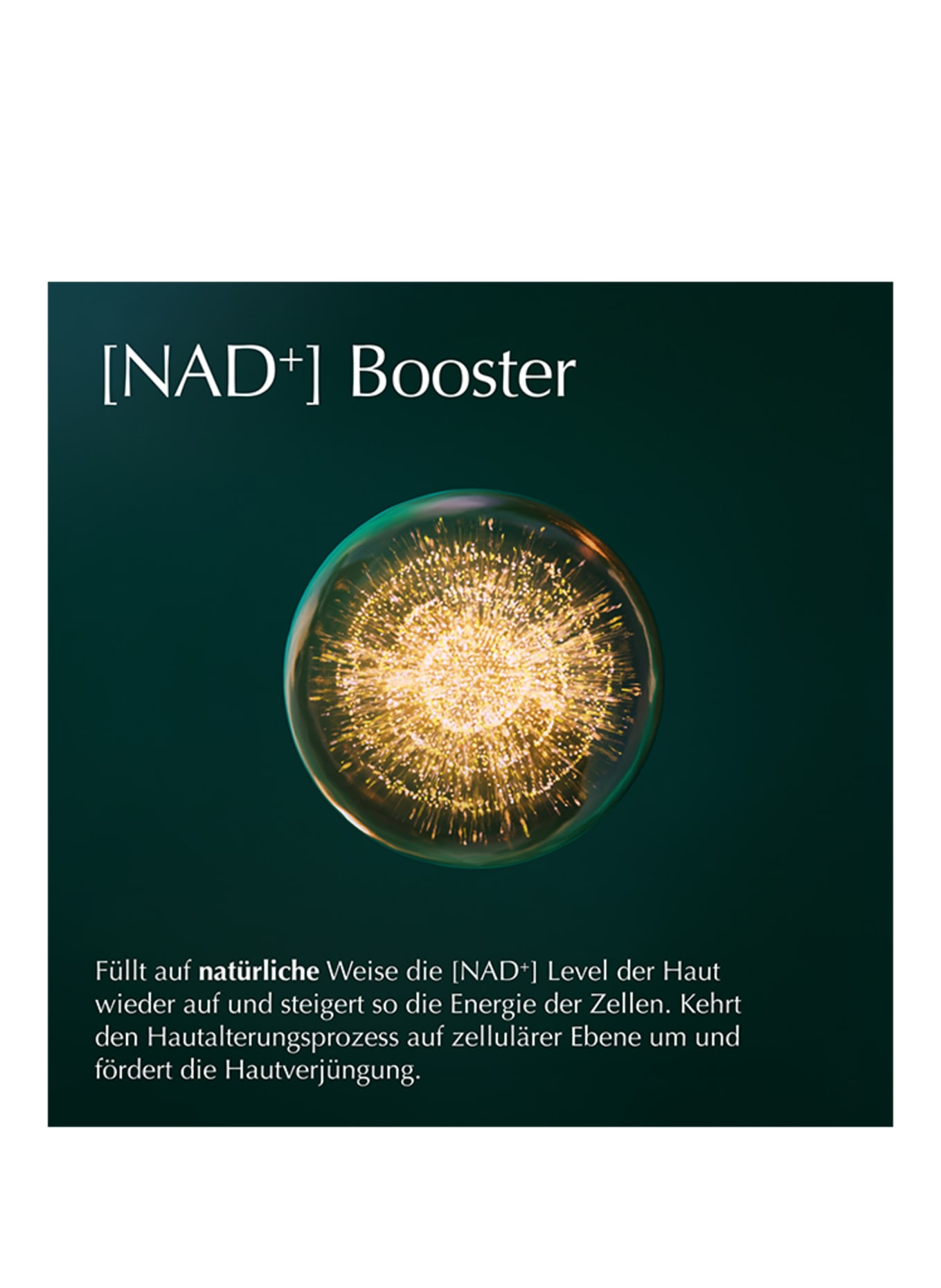 WELEDA Cell Longevity CELL LONGEVITY HYDRA GLOW POWER MOISTURIZER GEL-CREAM