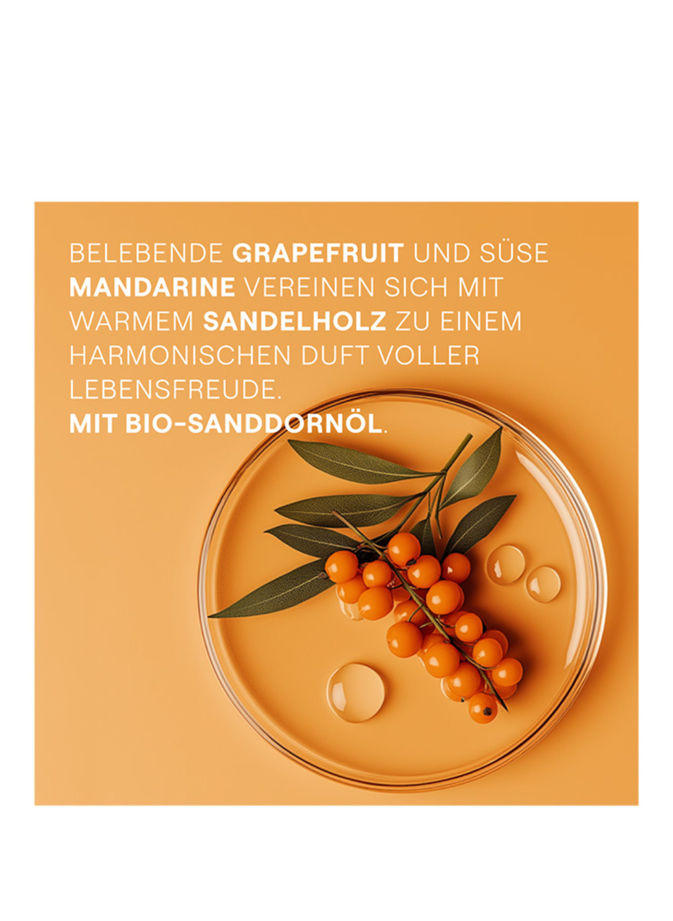 WELEDA CRÈME DE DOUCHE VITALITÉ