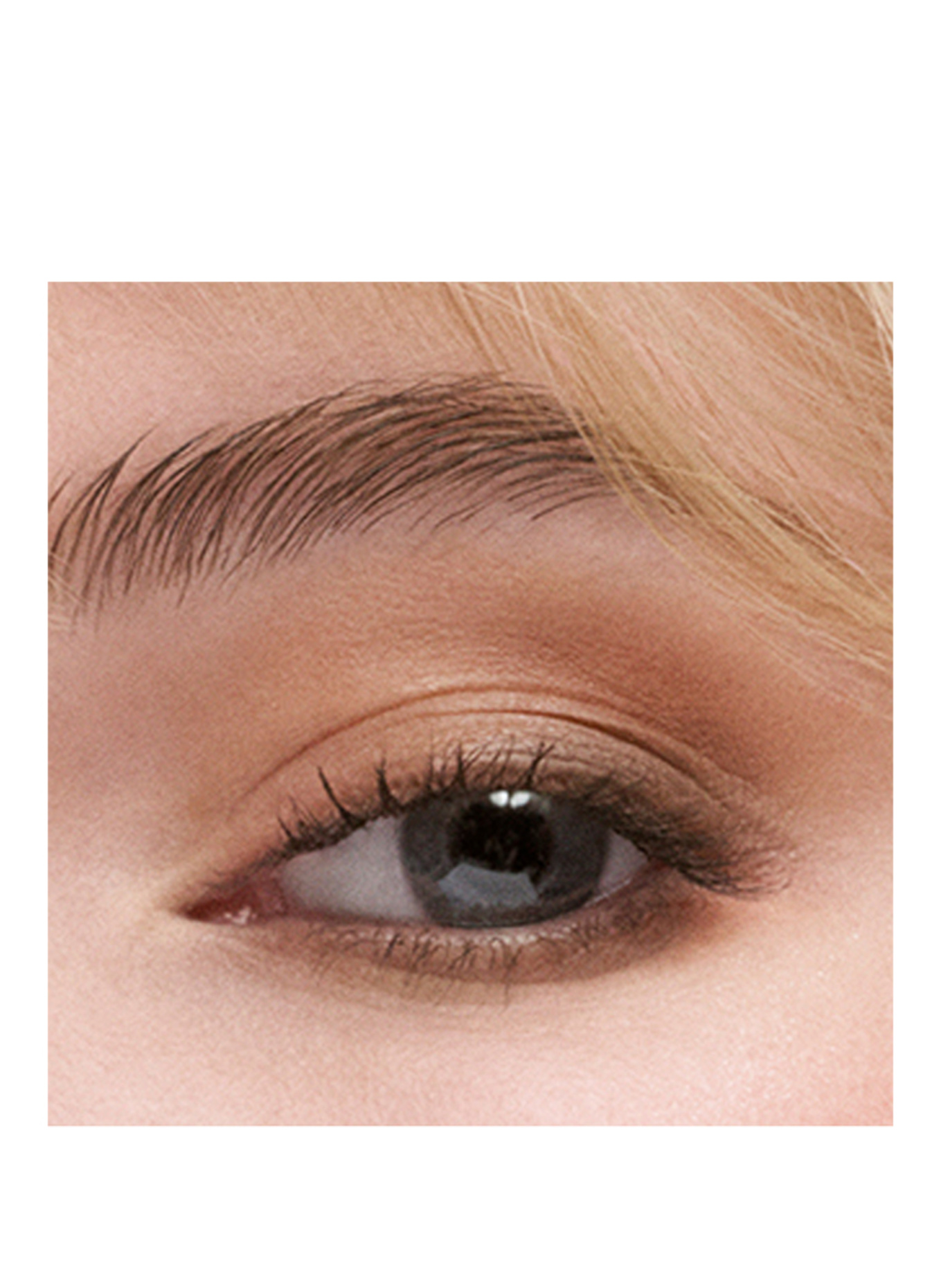 ESTÉE LAUDER PURE COLOR THE ESSENTIAL EYESHADOW QUAD: GALLERY HOP