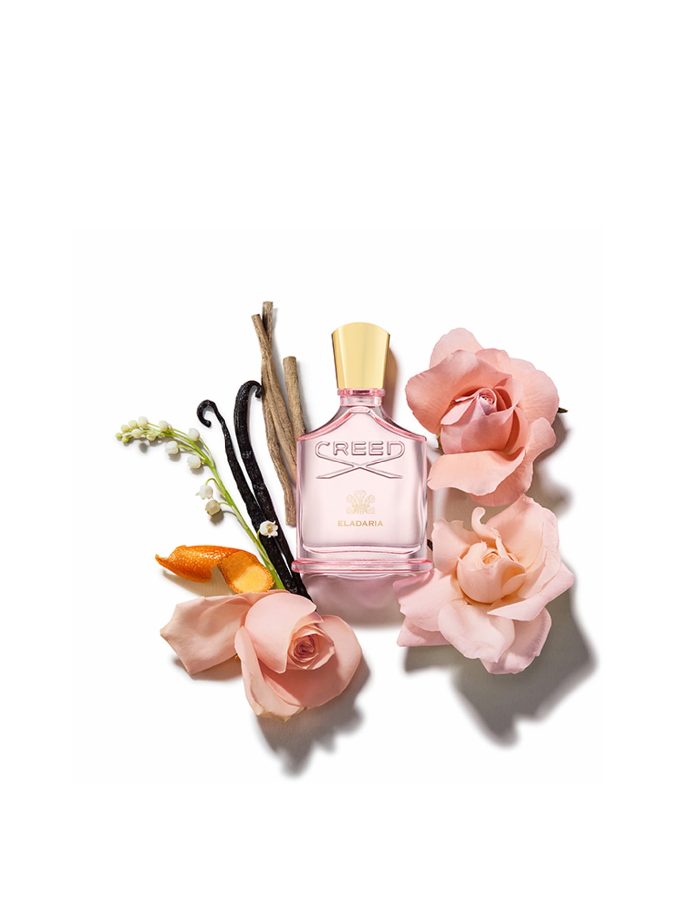 CREED ELADARIA