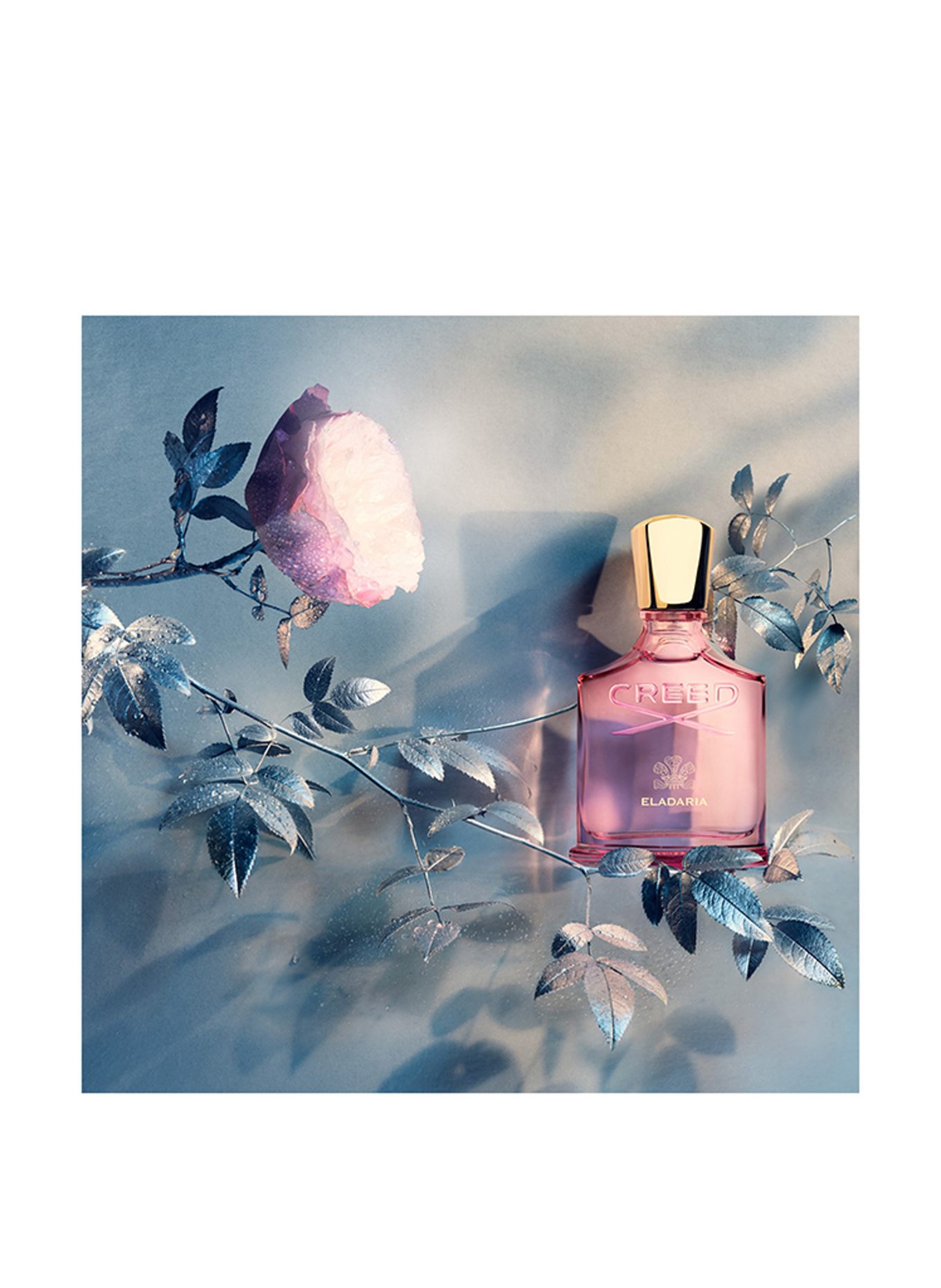CREED ELADARIA