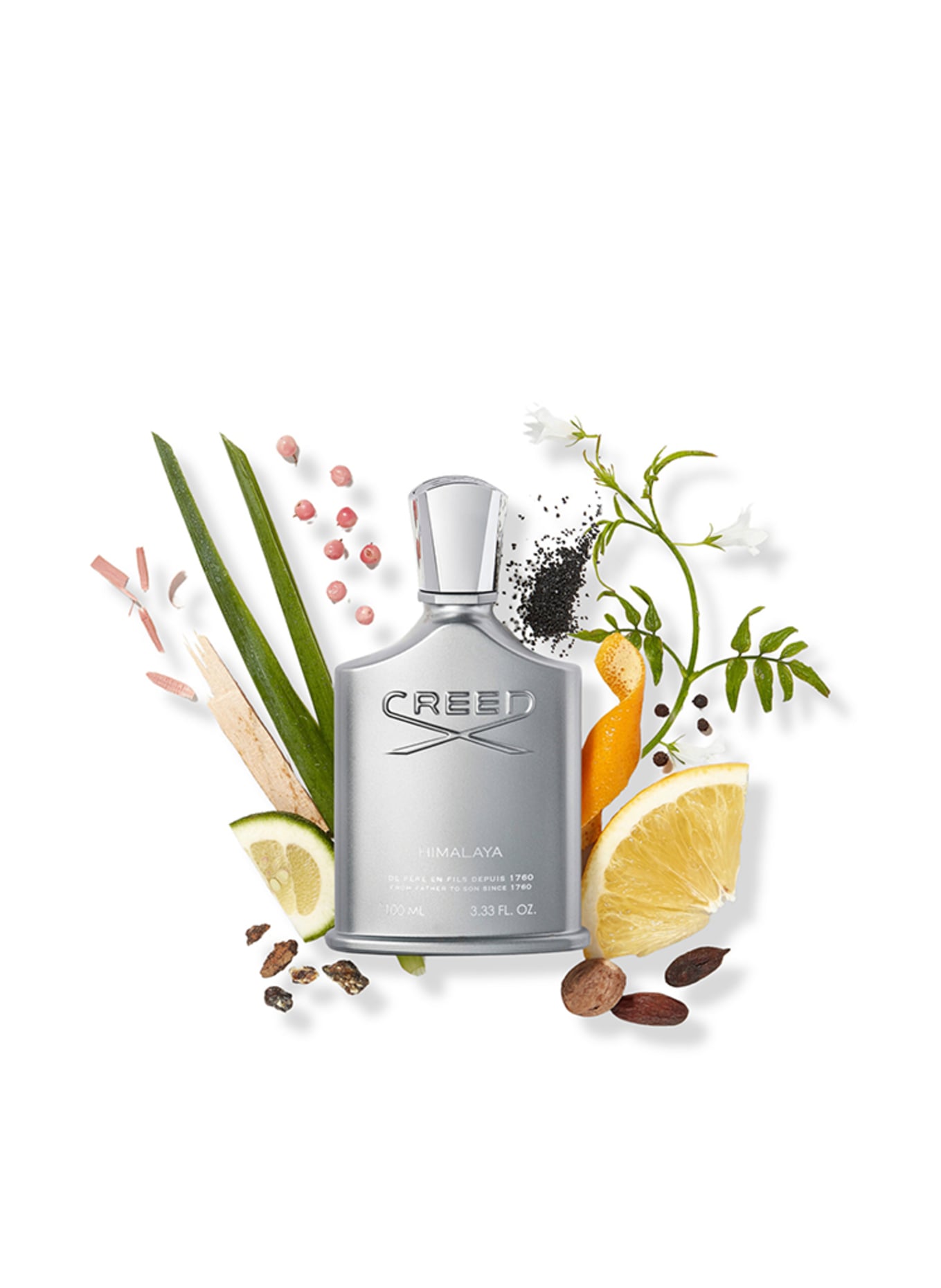 CREED HIMALAYAS