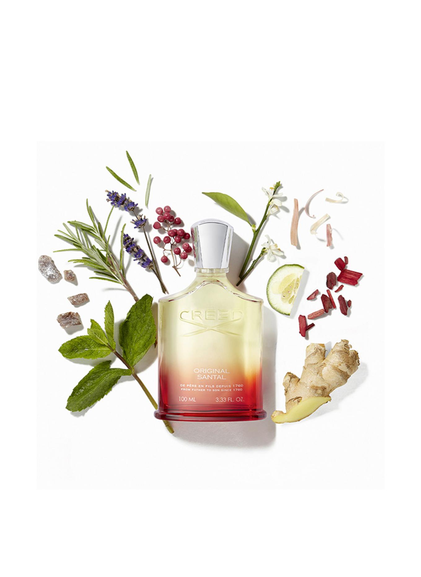 CREED ORIGINELE SANTAL