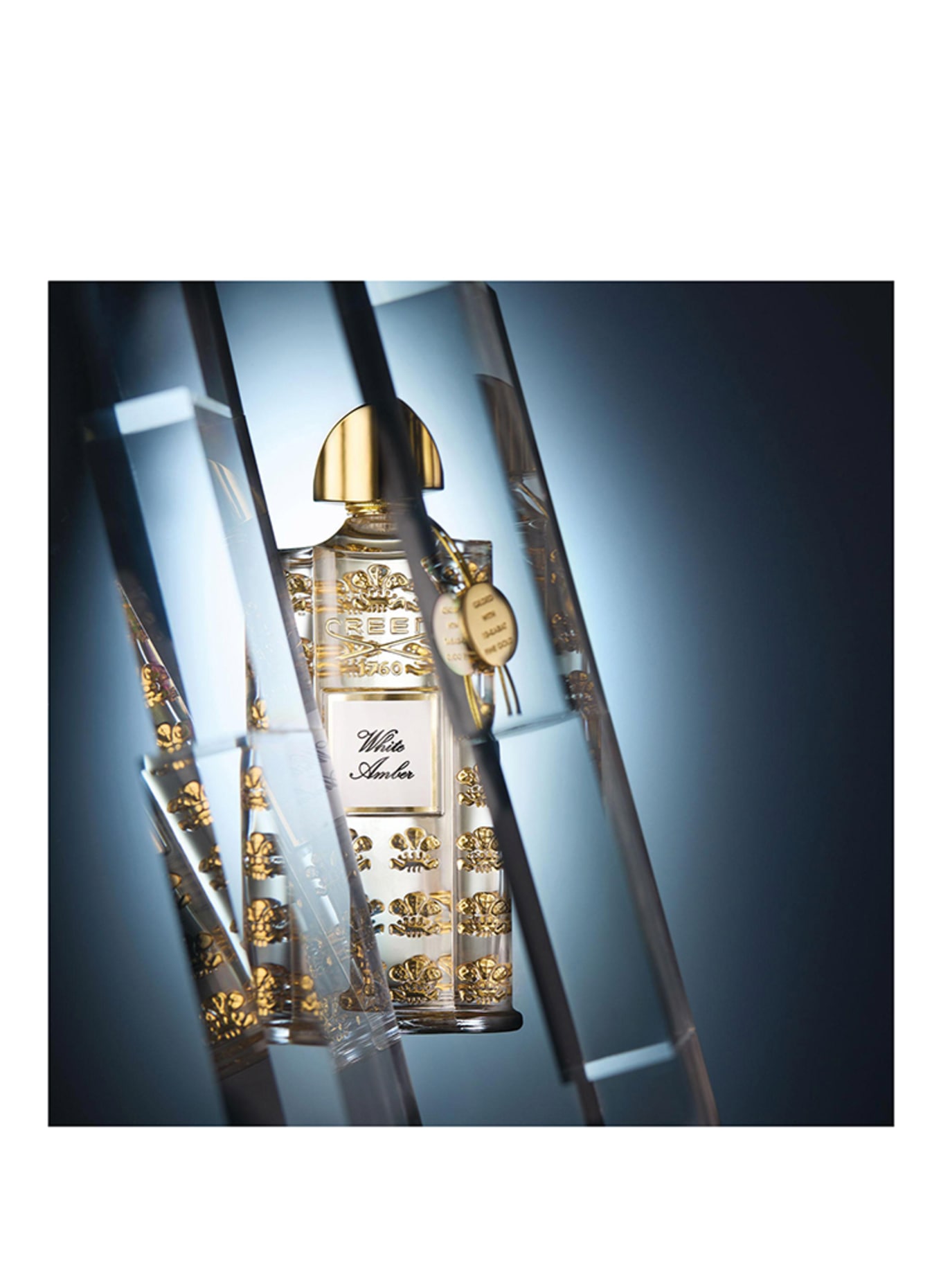CREED WITTE AMBER