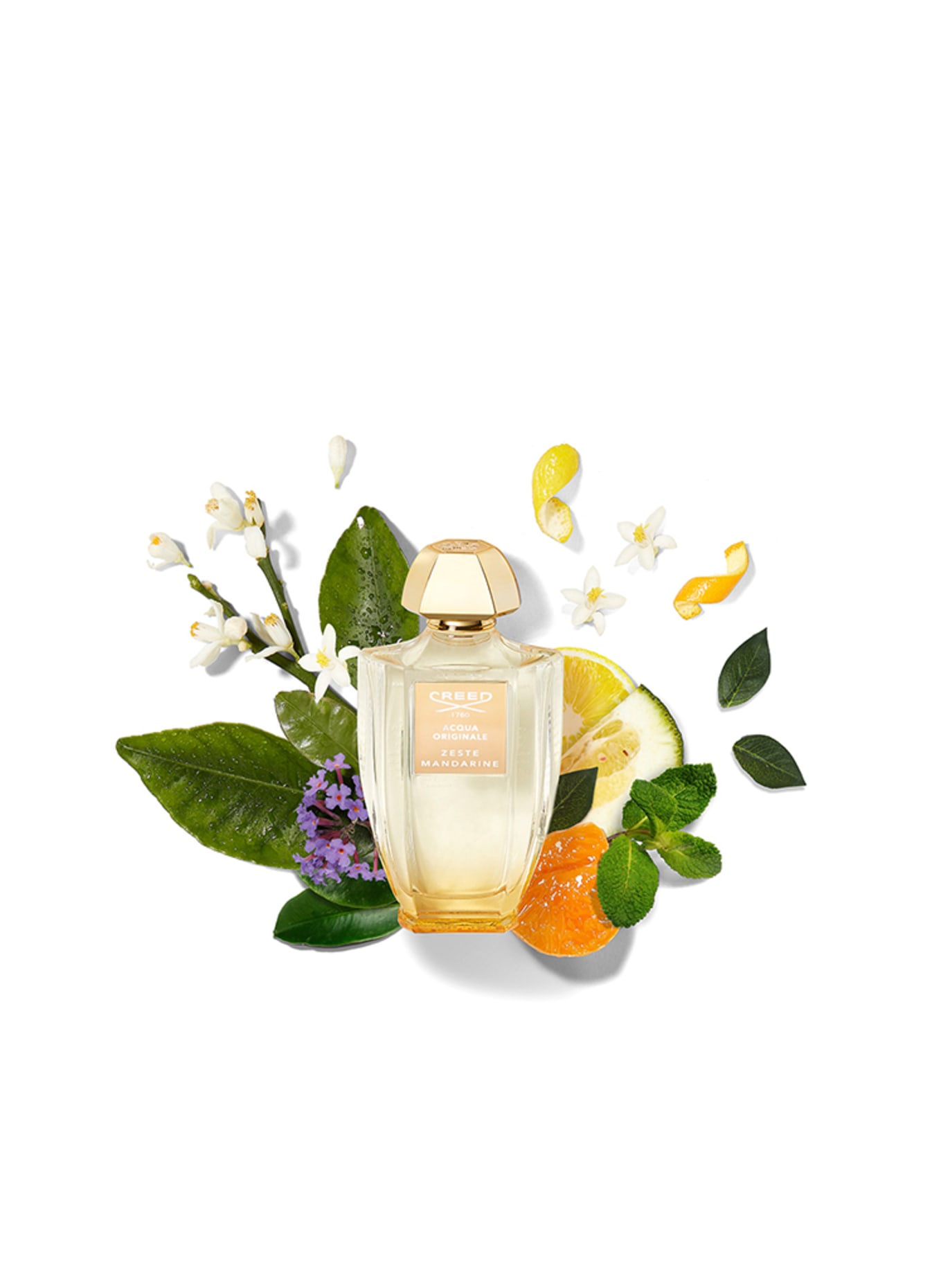 CREED MANDARIJN SCHIL
