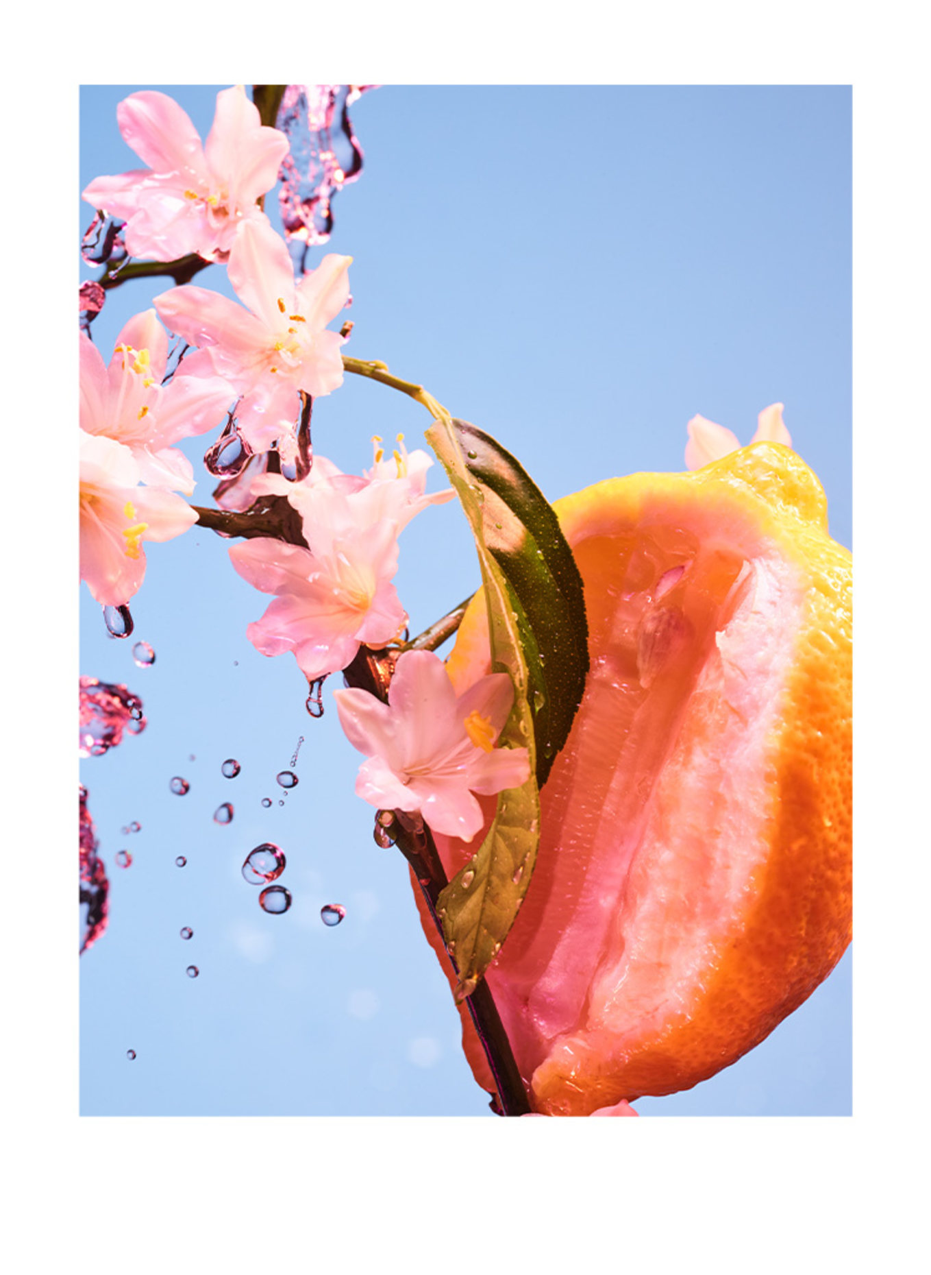 BVLGARI Fragrances  CHILL & SOLE