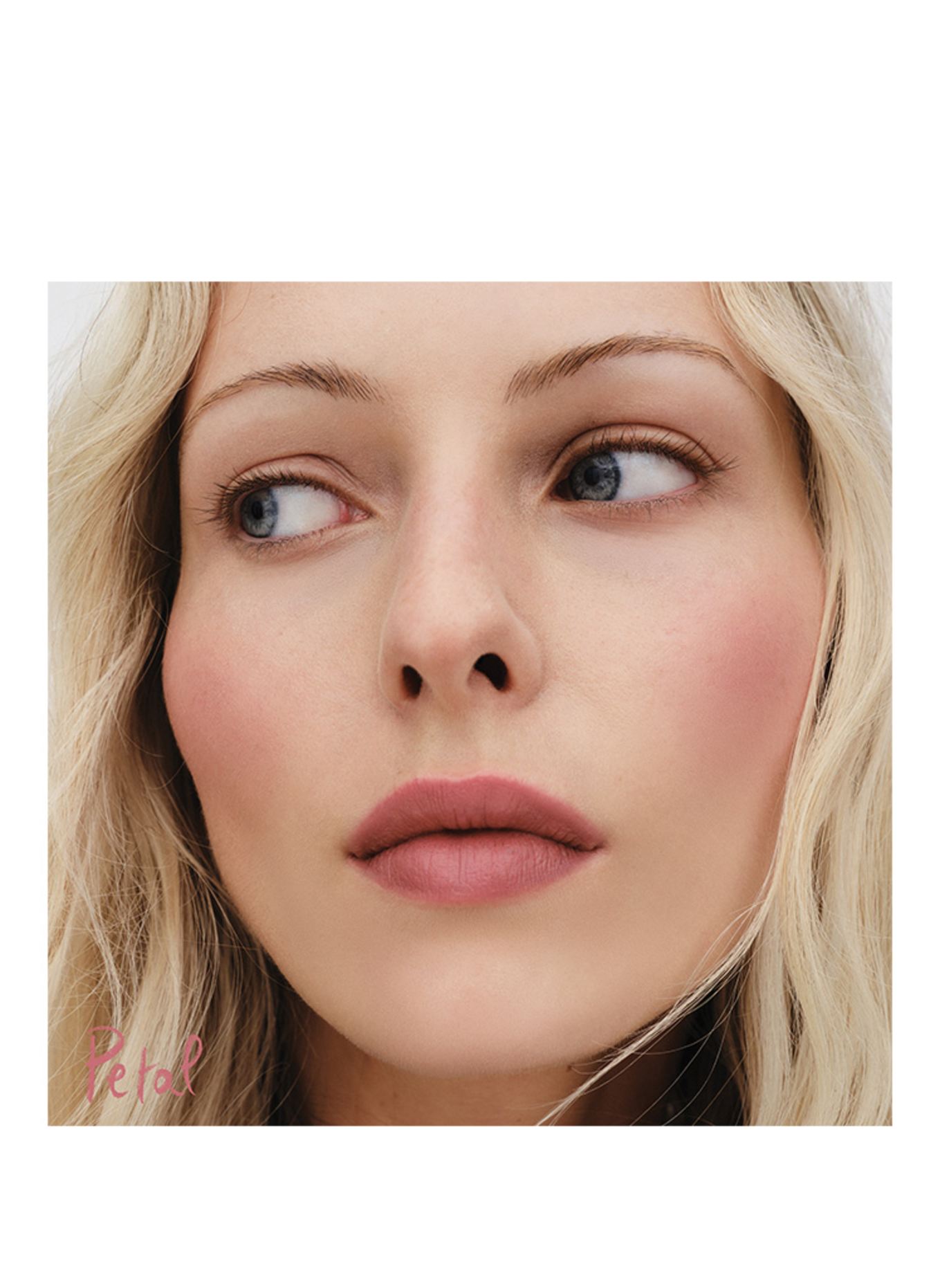 WESTMAN ATELIER LIP SUEDE MATTE LIPSTICK: PETAL - DUSTY NUDE ROSE