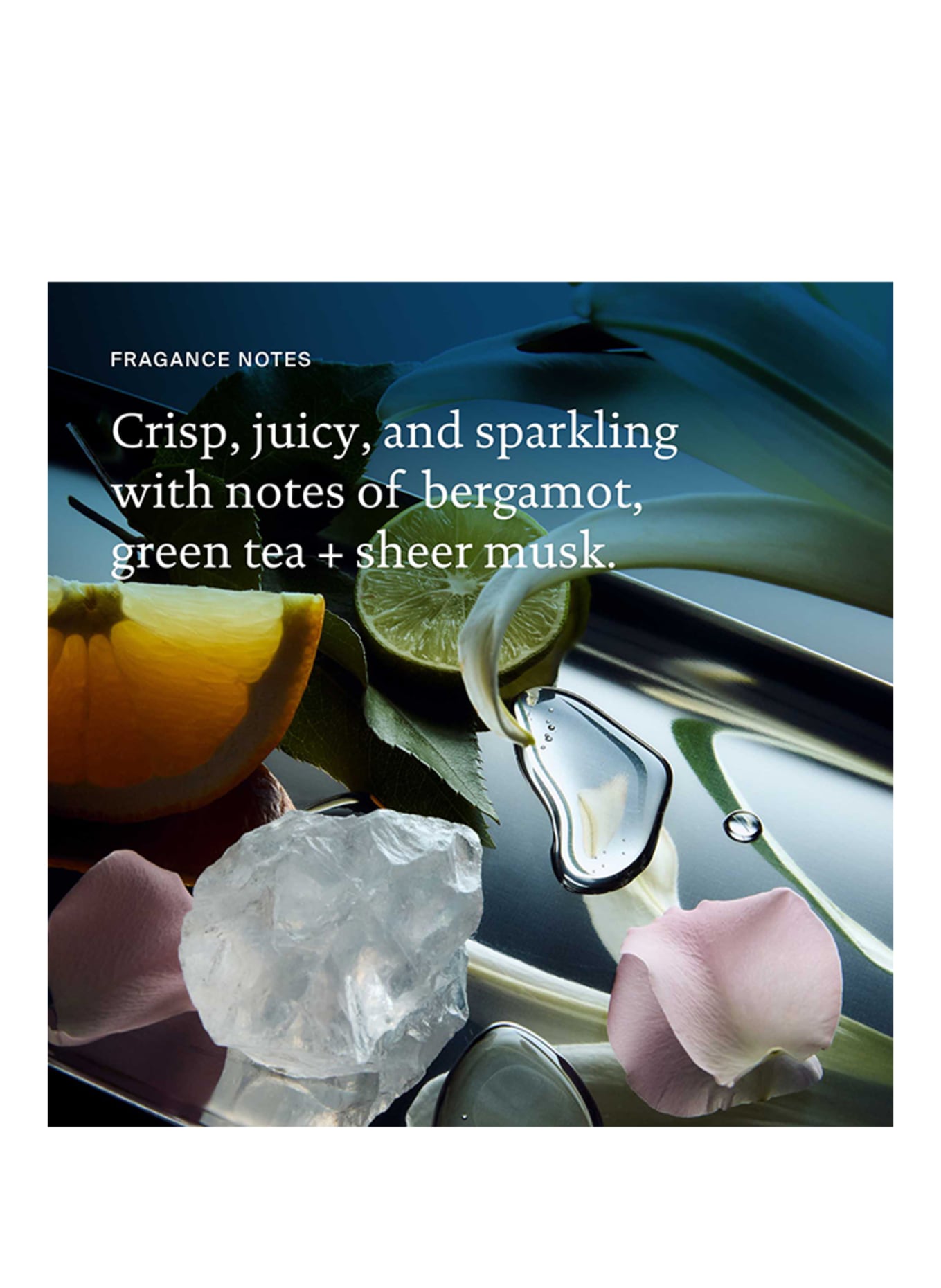 LIVING PROOF PERFECT HAIR DAY