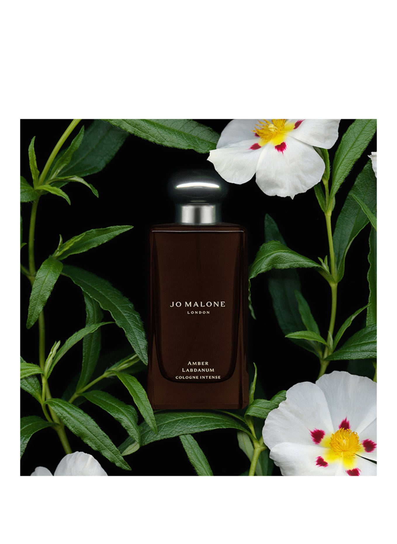 JO MALONE LONDON AMBER LABDANUM