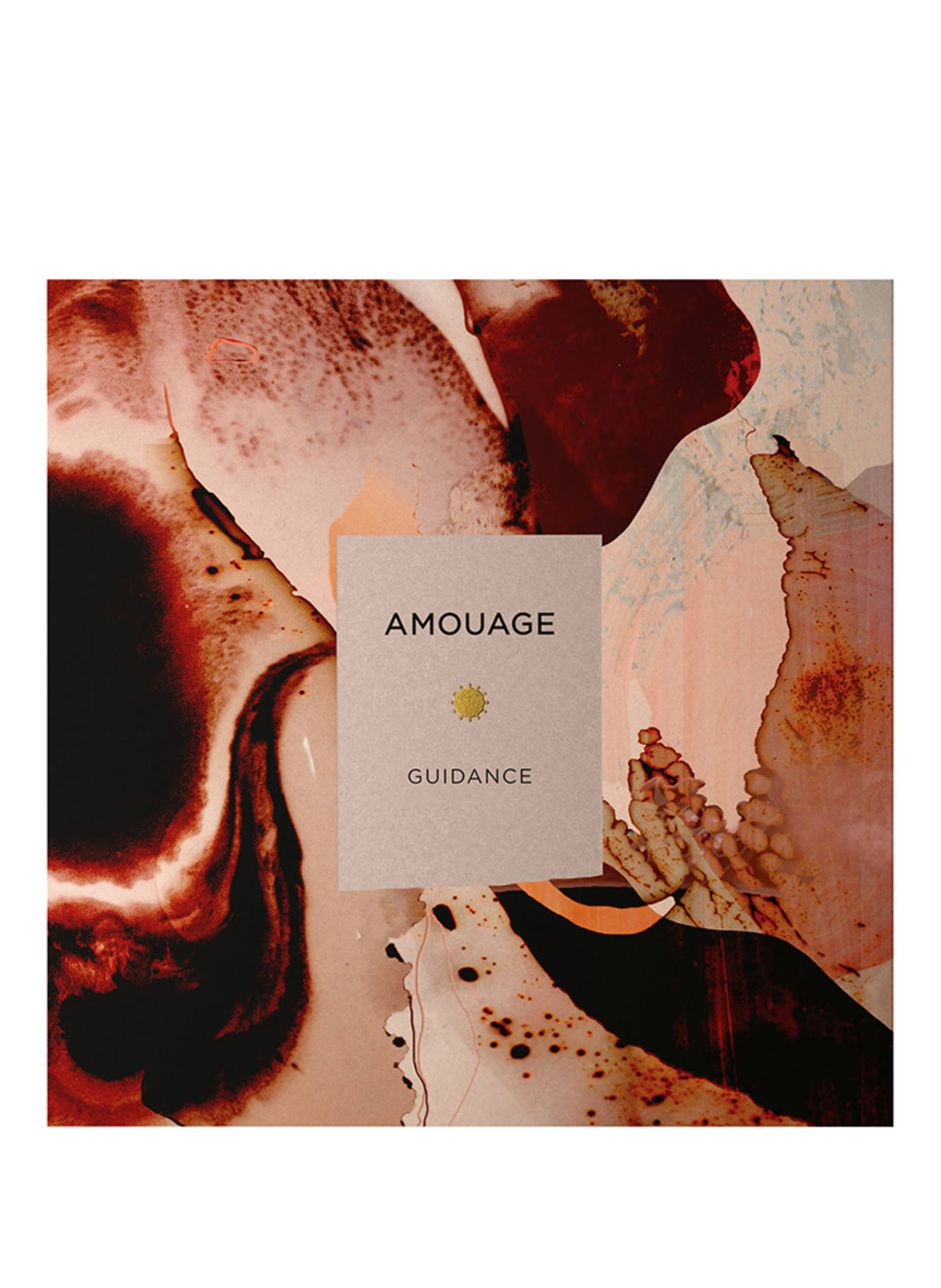 AMOUAGE GUIDANCE