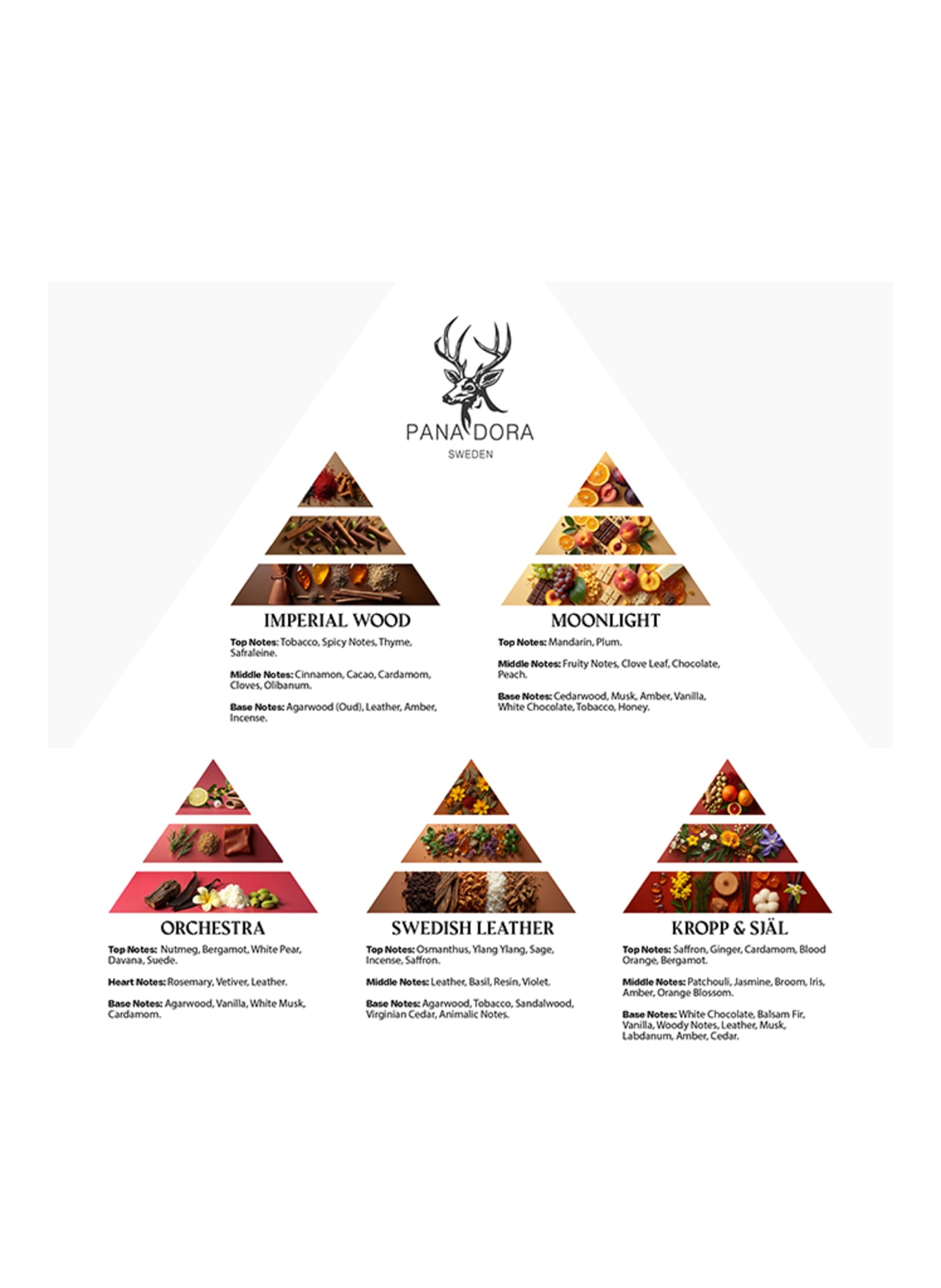 PANA DORA SET DE VOYAGE - ROUGE