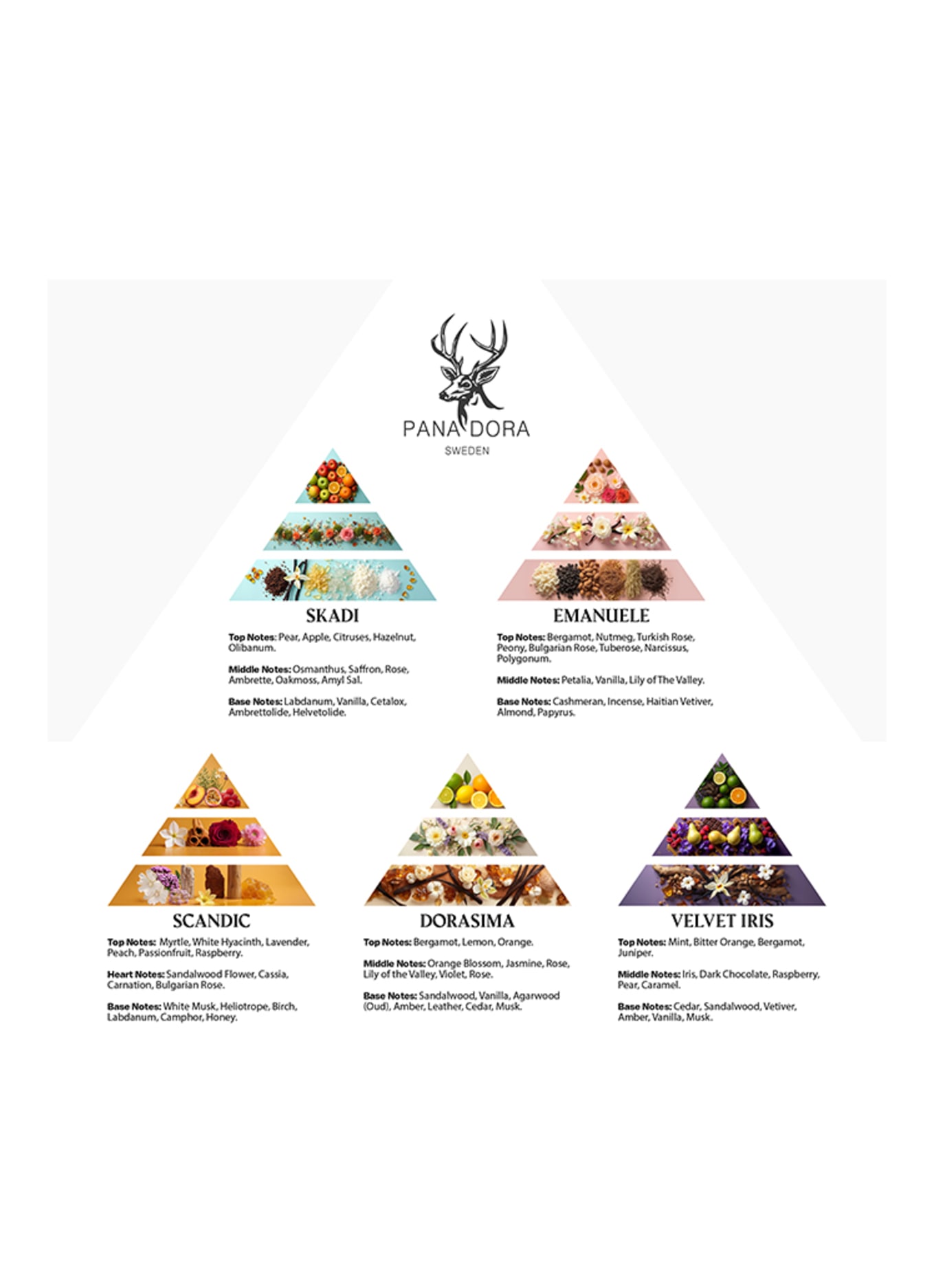 PANA DORA SET DE VOYAGE - VERT