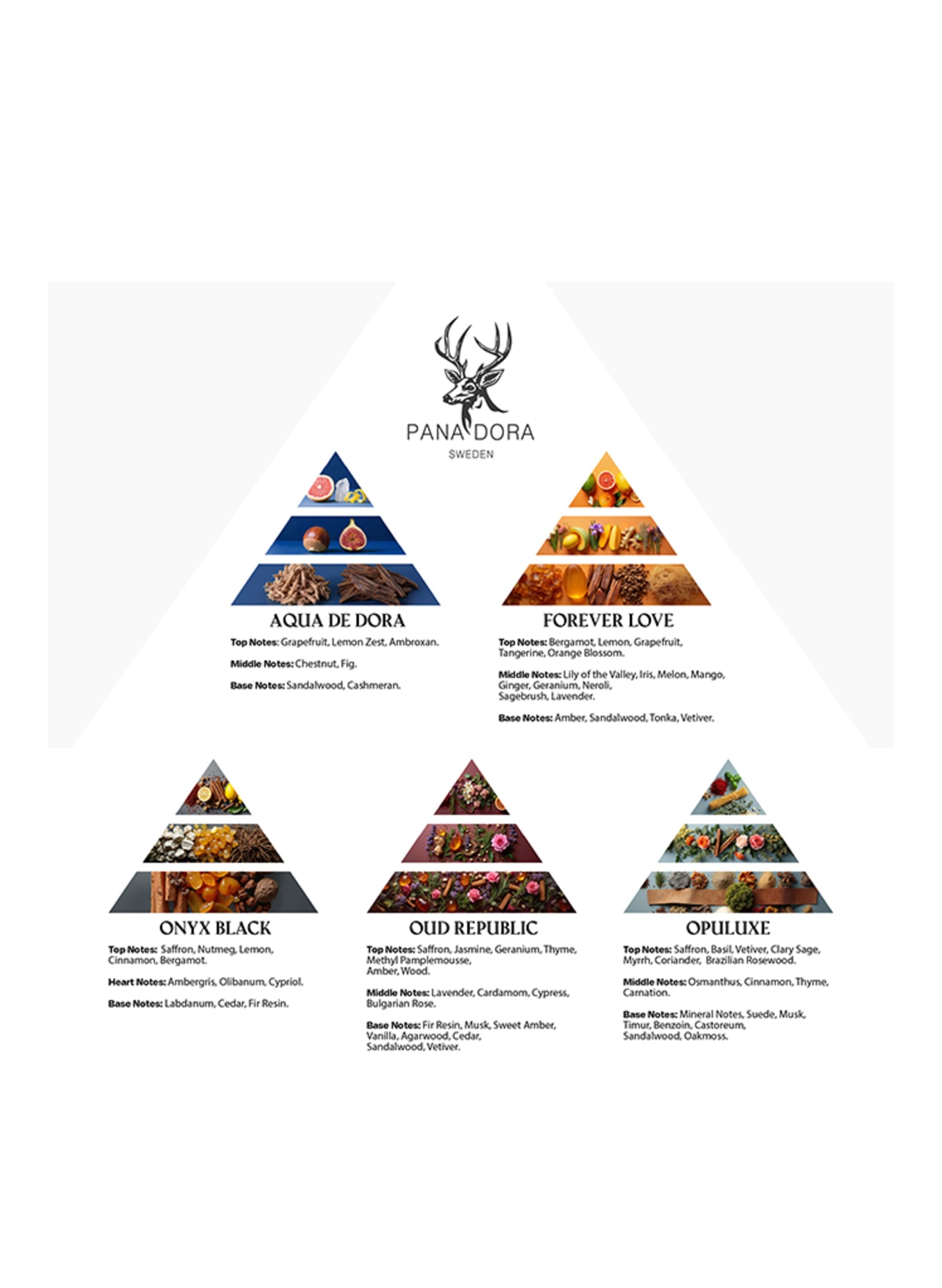 PANA DORA TRAVEL SET - BLUE