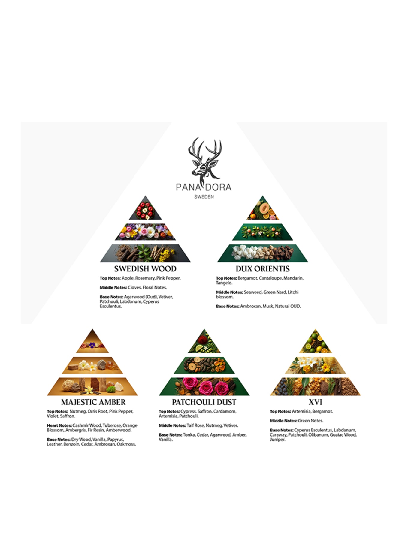 PANA DORA REISSET - ZWART