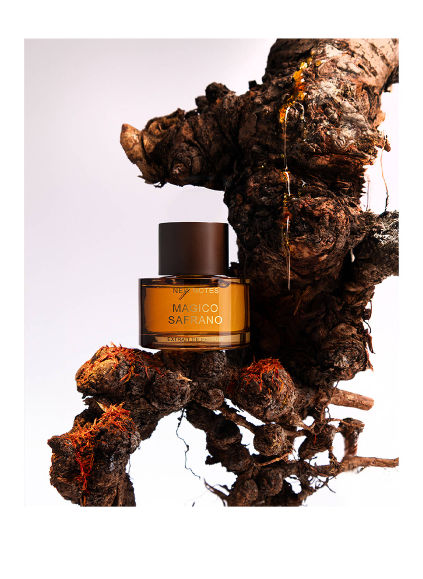 NEW NOTES MAGICO SAFRANO