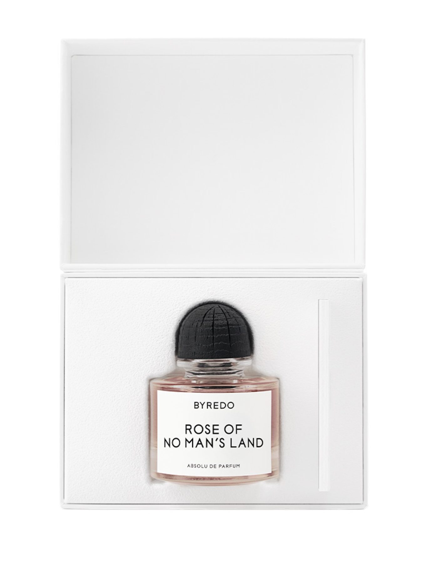 BYREDO Rose des champs