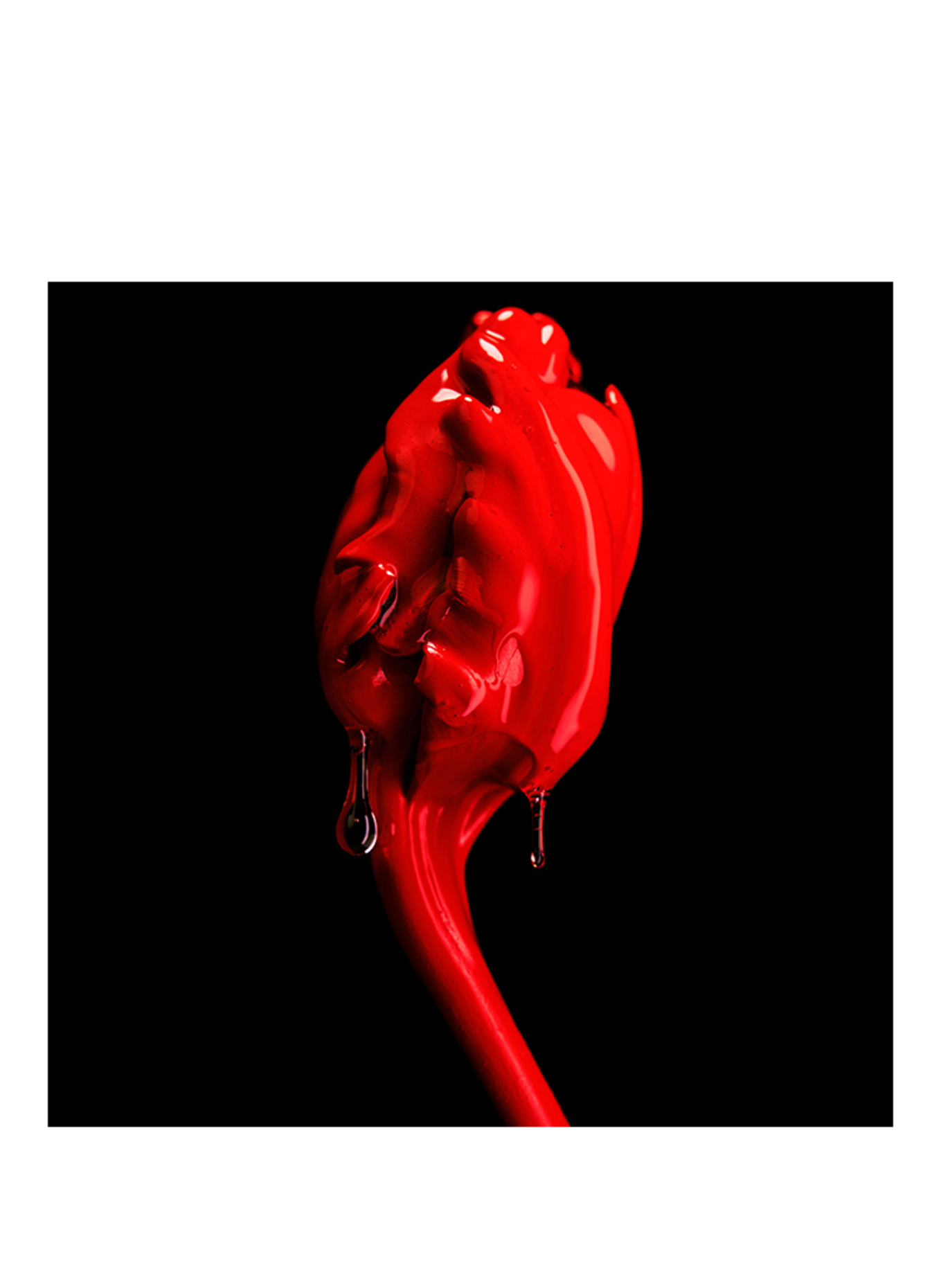 BYREDO Rose des champs