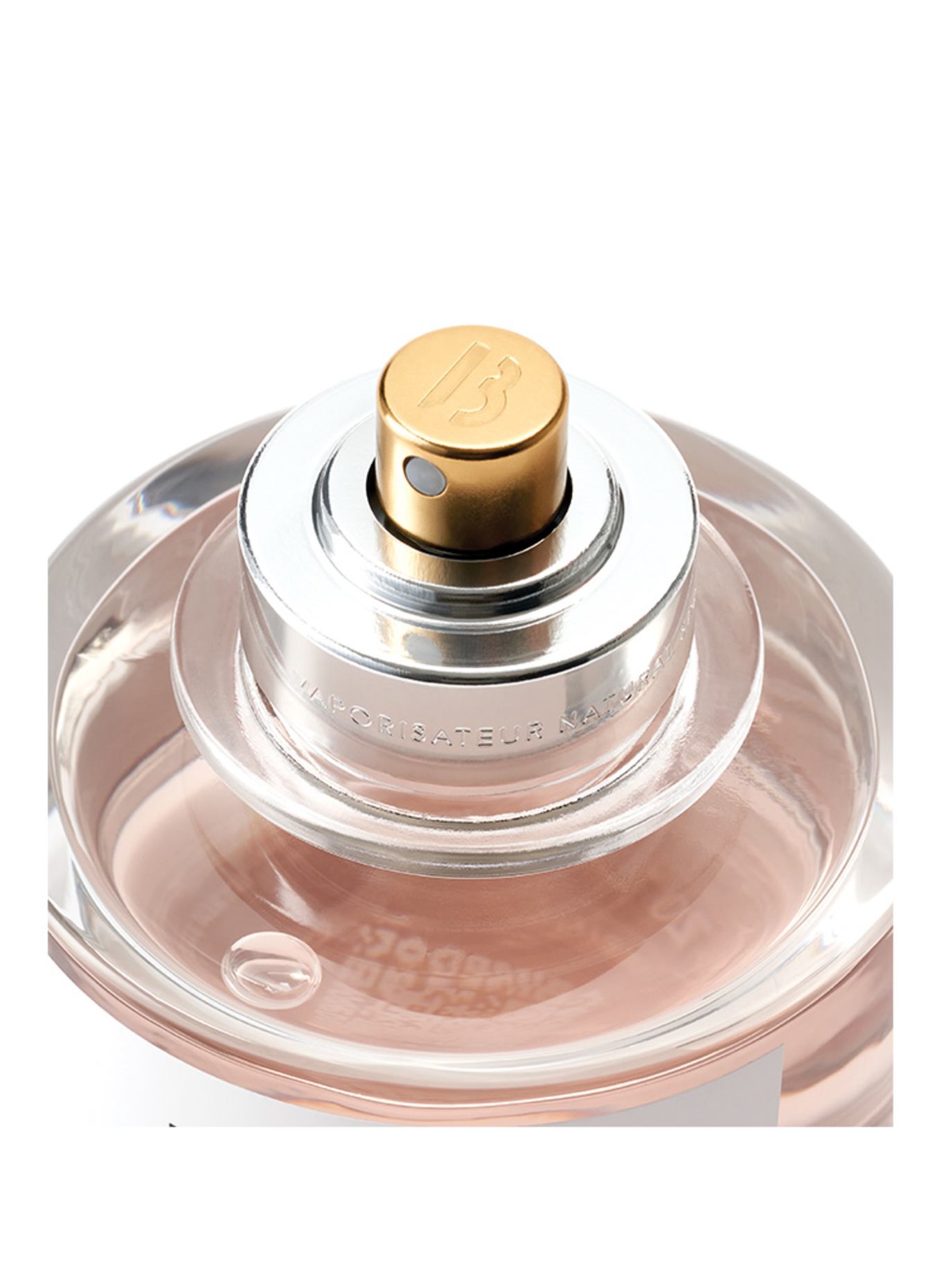 BYREDO Rose des champs