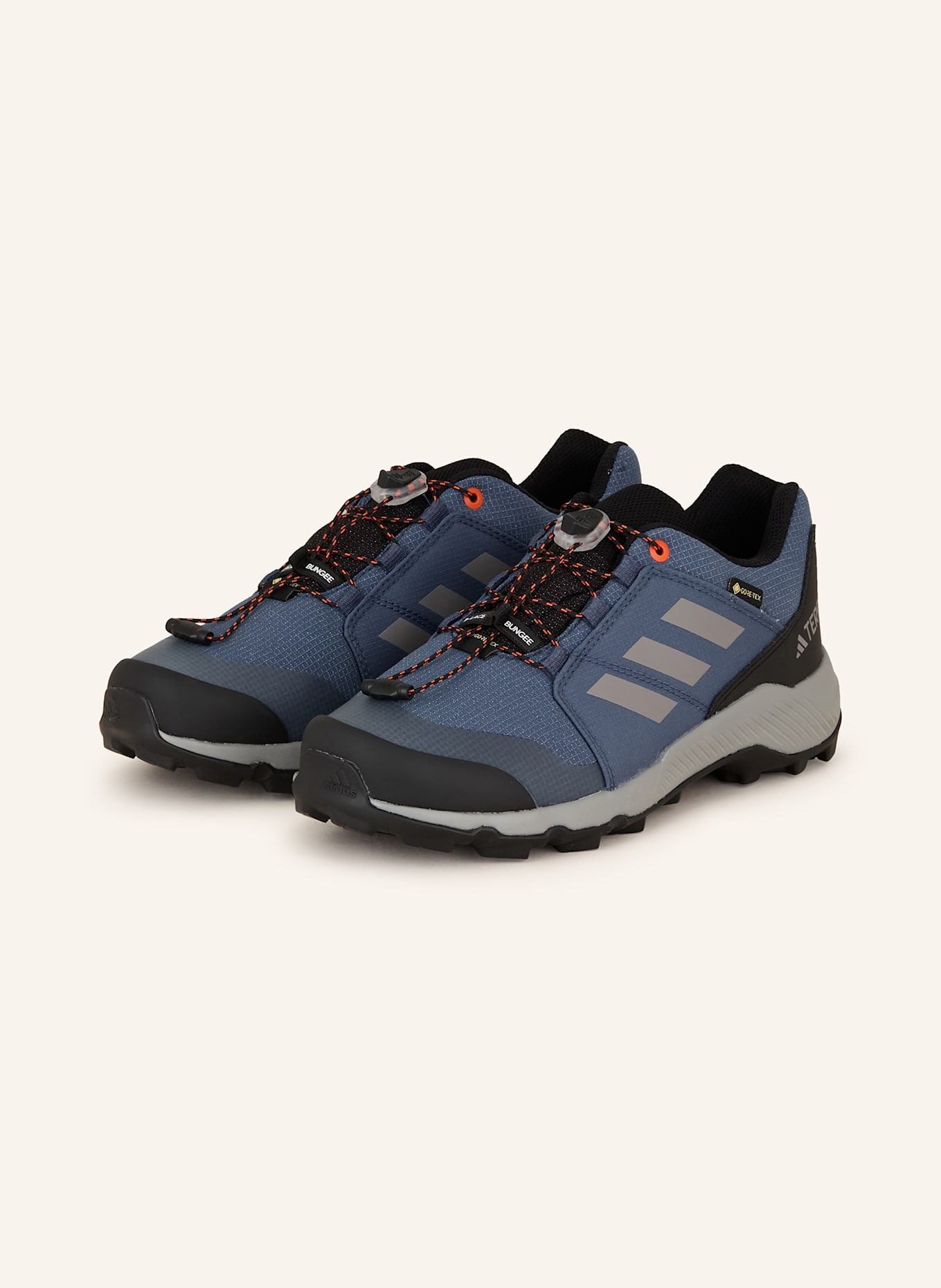 adidas TERREX Wanderschuhe TERREX GTX: BLAU/ DUNKELBLAU/ GRAU