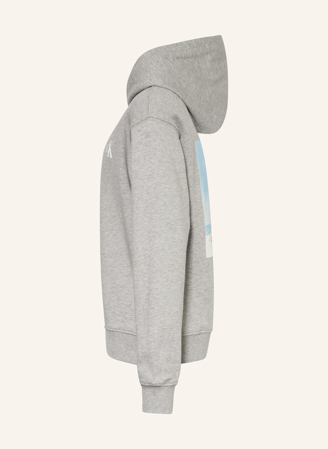Calvin Klein Hoodie: GRAU