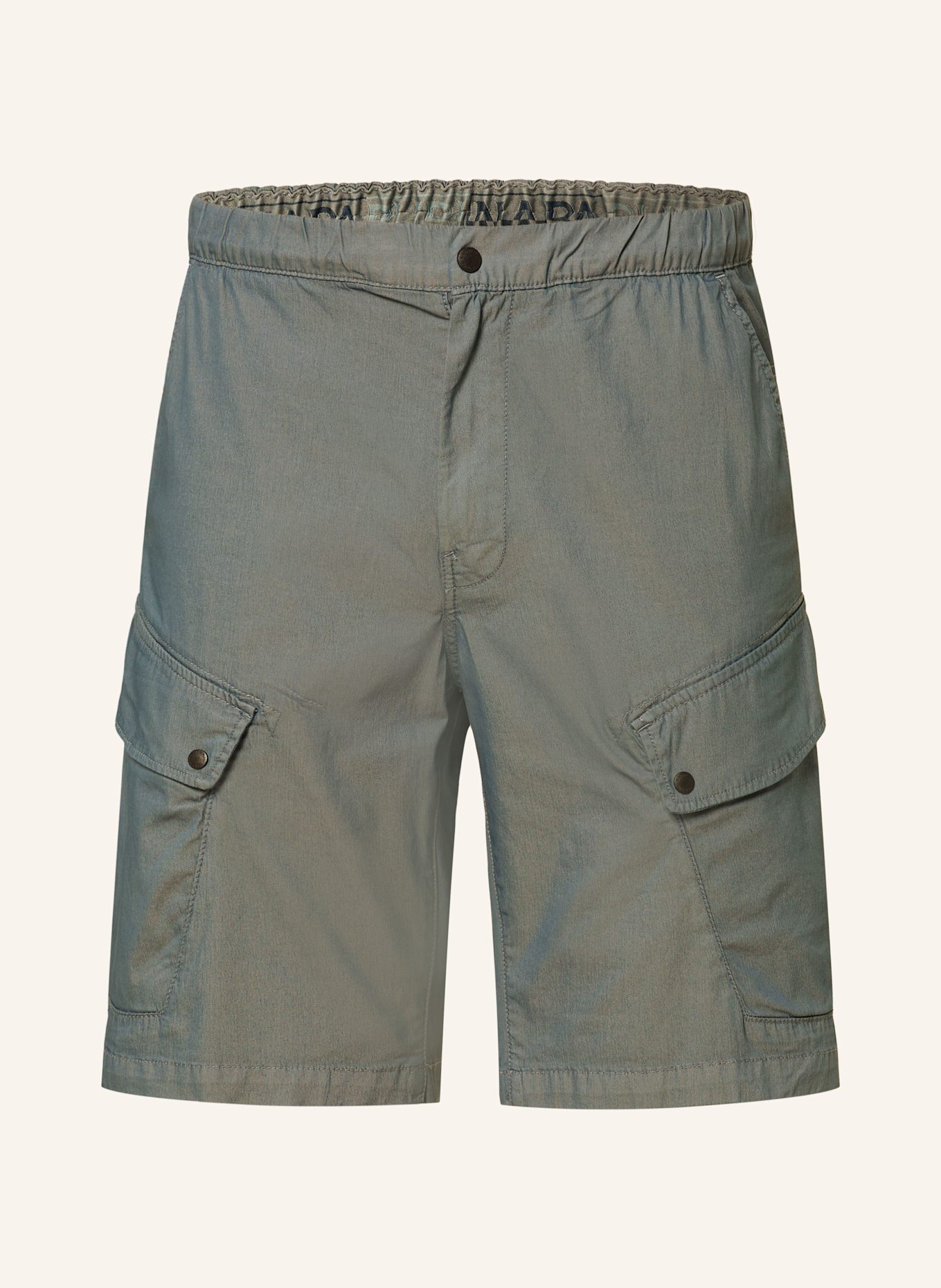 NAPAPIJRI Cargo shorts N-SENIO Regular Fit: BLUE GRAY