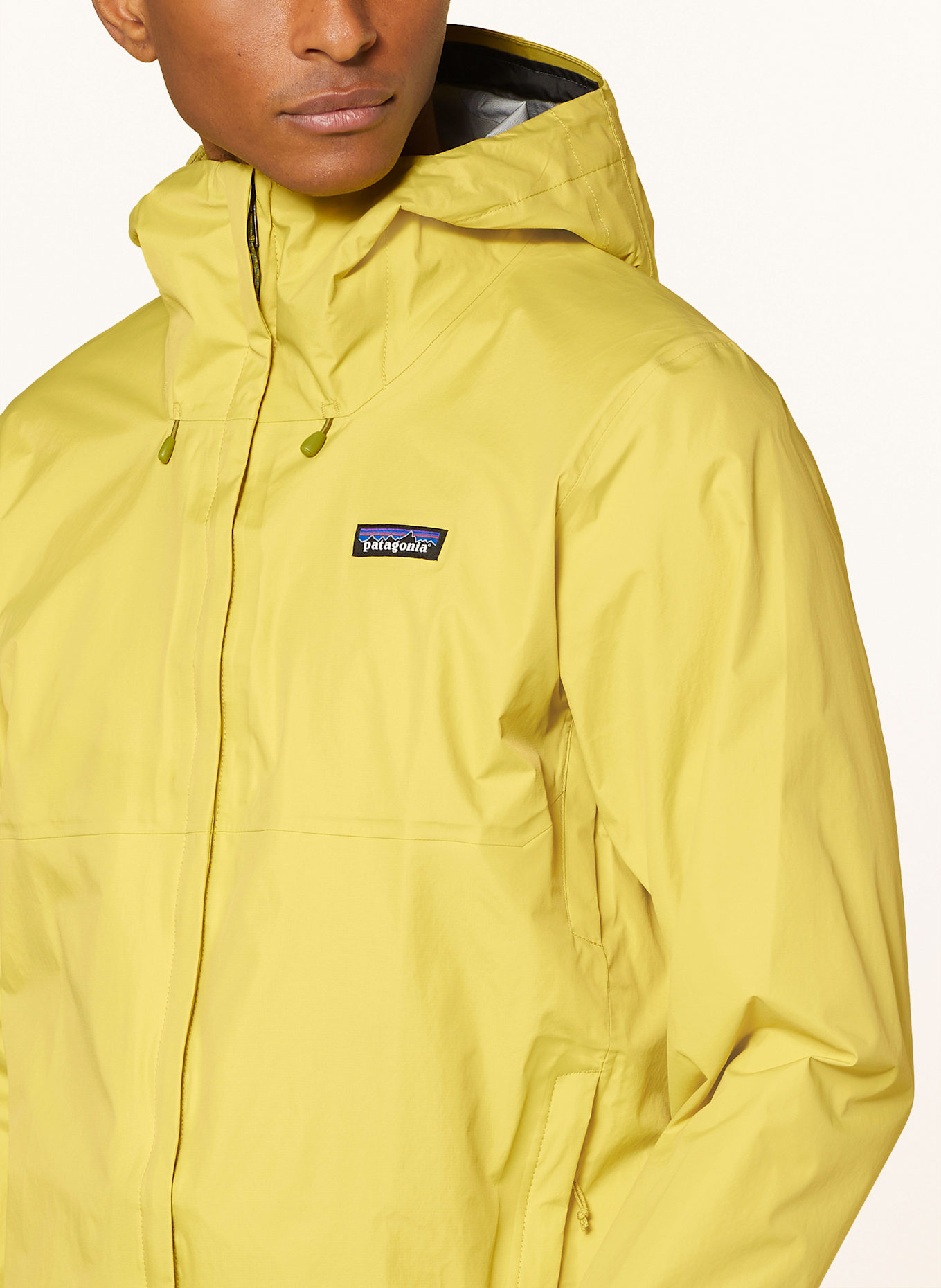 patagonia Funktionsjacke TORRENTSHELL: HELLGRÜN