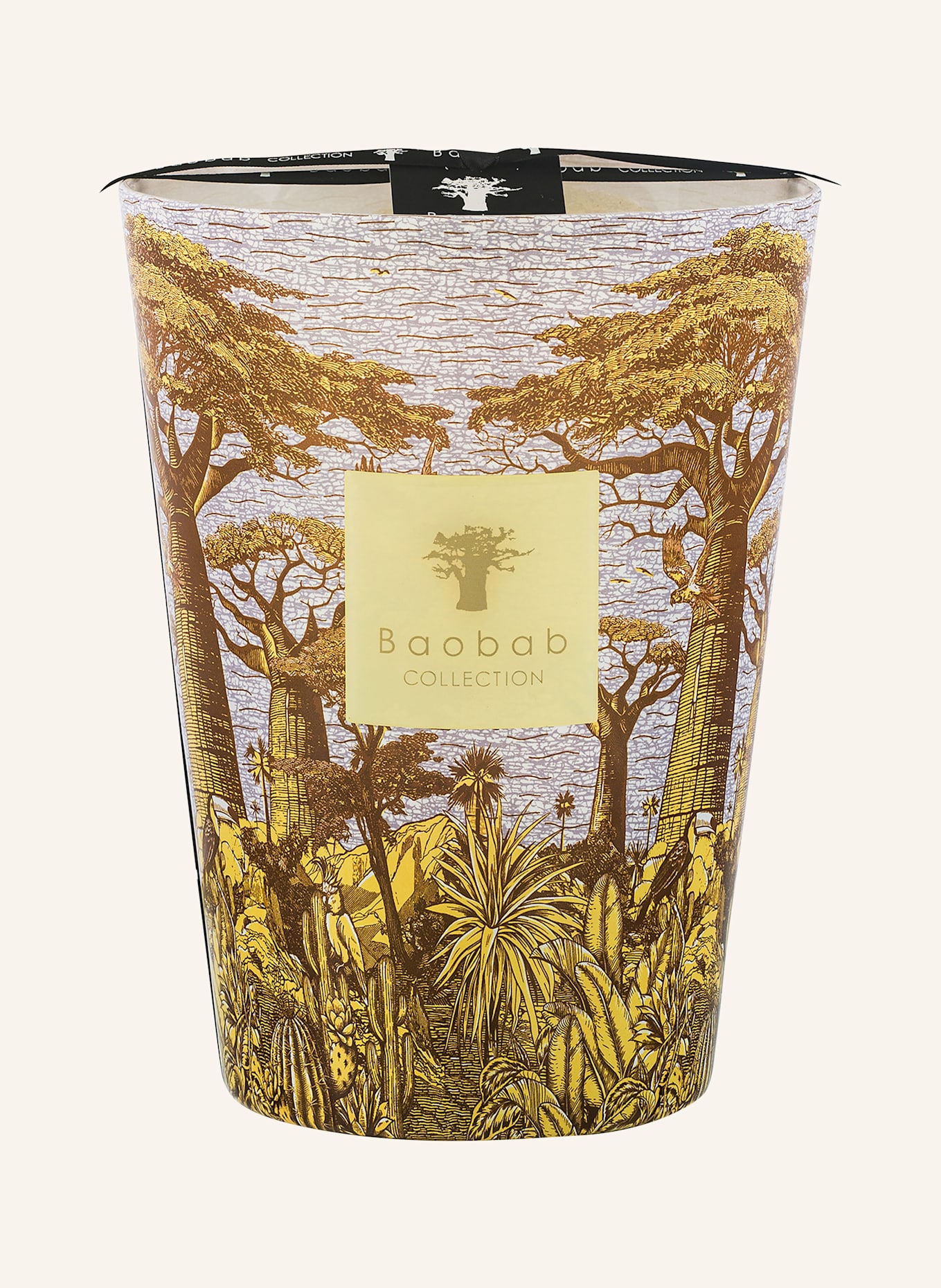 Baobab COLLECTION Duftkerze SACRED TREES COCODY: GELB / BLAUGRAU