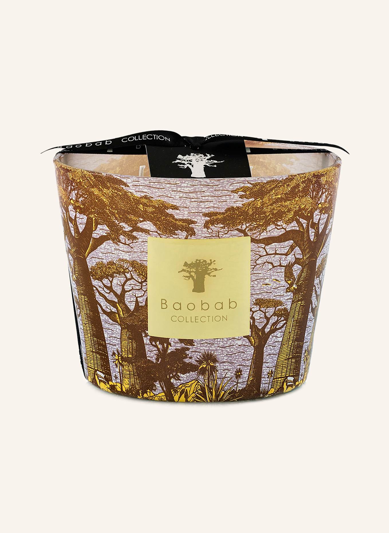 Baobab COLLECTION Duftkerze SACRED TREES COCODY: GELB / BLAUGRAU