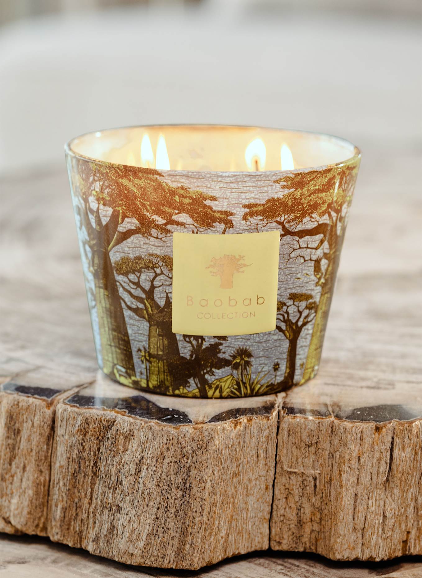Baobab COLLECTION Duftkerze SACRED TREES COCODY: GELB / BLAUGRAU