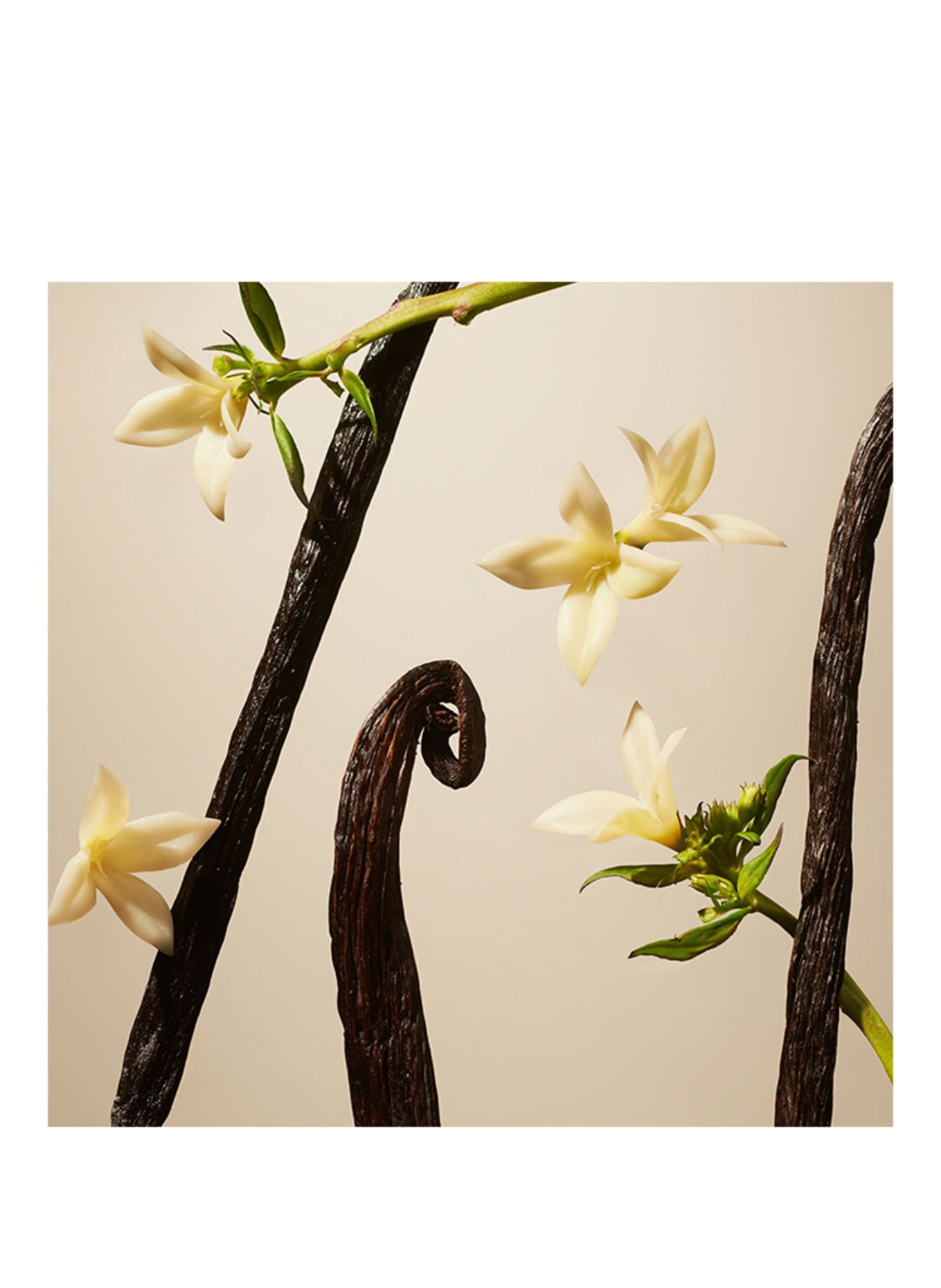 RITUALS SUEDE VANILLA REFILL