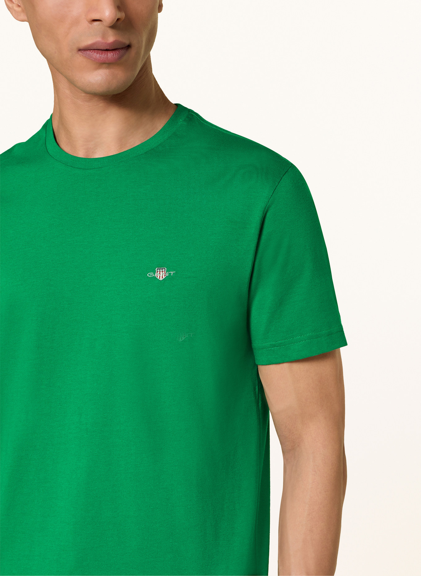 GANT T-Shirt: GRÜN