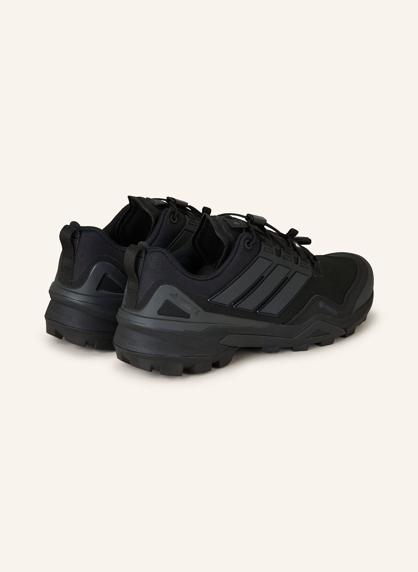 adidas TERREX Wanderschuhe TERREX SKYCHASER GTX: SCHWARZ