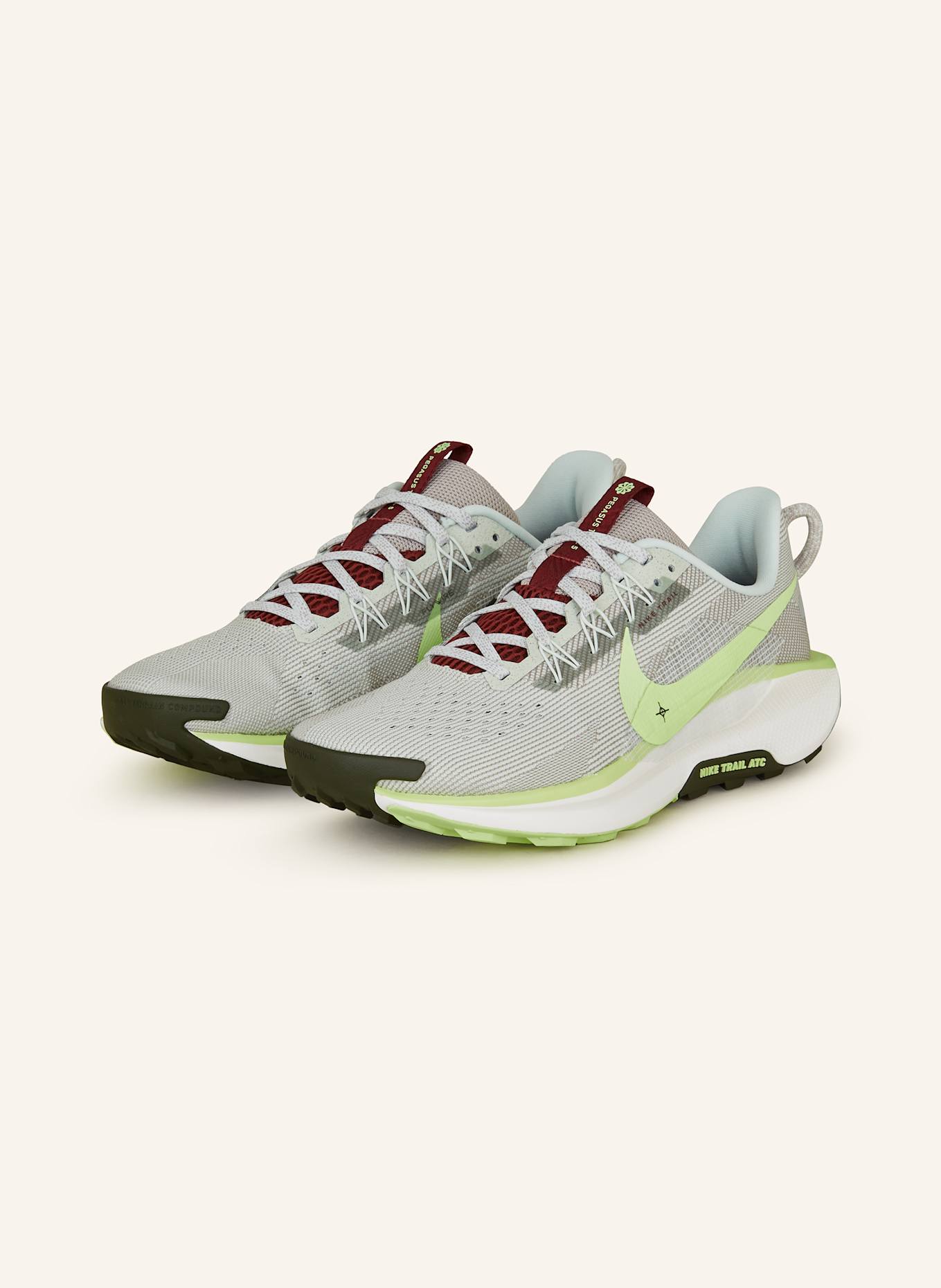 Nike Trailrunning-Schuhe REACTX PEGASUS TRAIL 5: GRAU