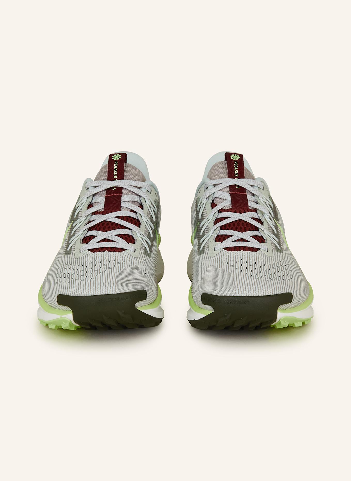 Nike Trailrunning-Schuhe REACTX PEGASUS TRAIL 5: GRAU