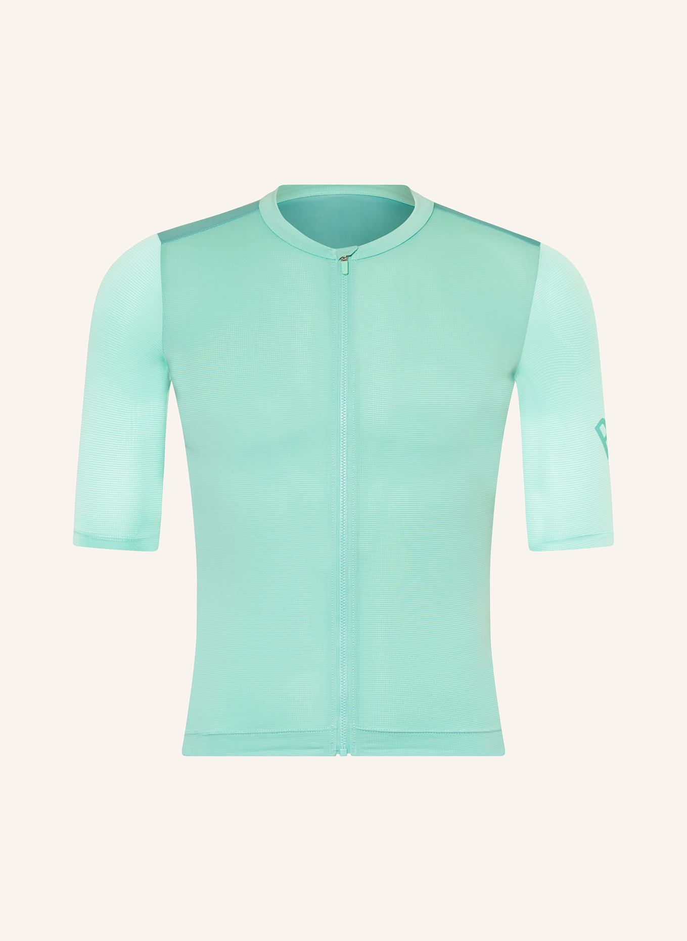 Rapha Radtrikot PRO TEAM TRAINING: MINT