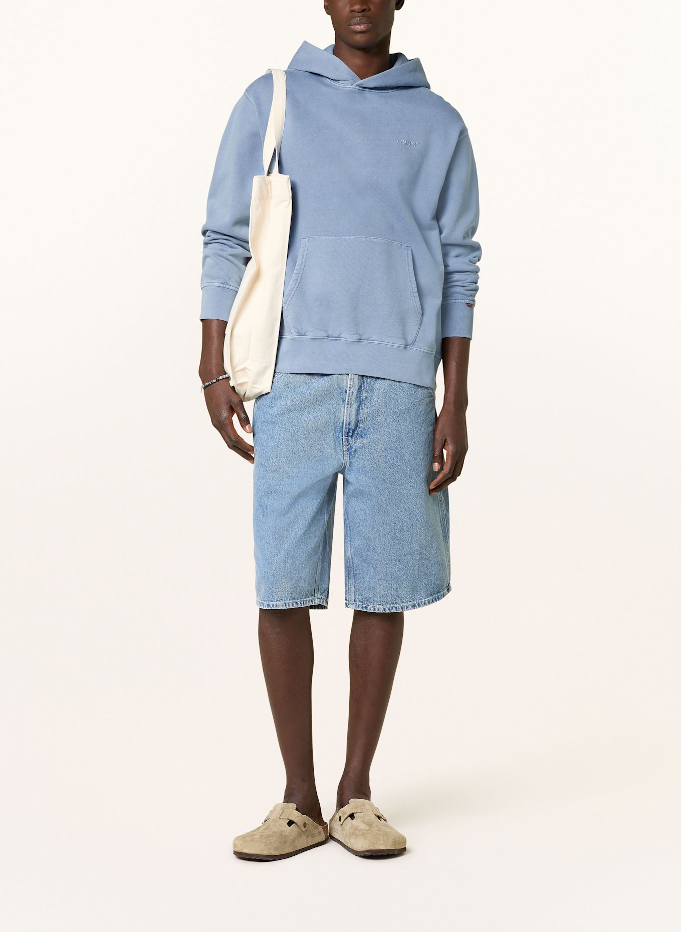 Levi's® Hoodie: BLUE GRAY