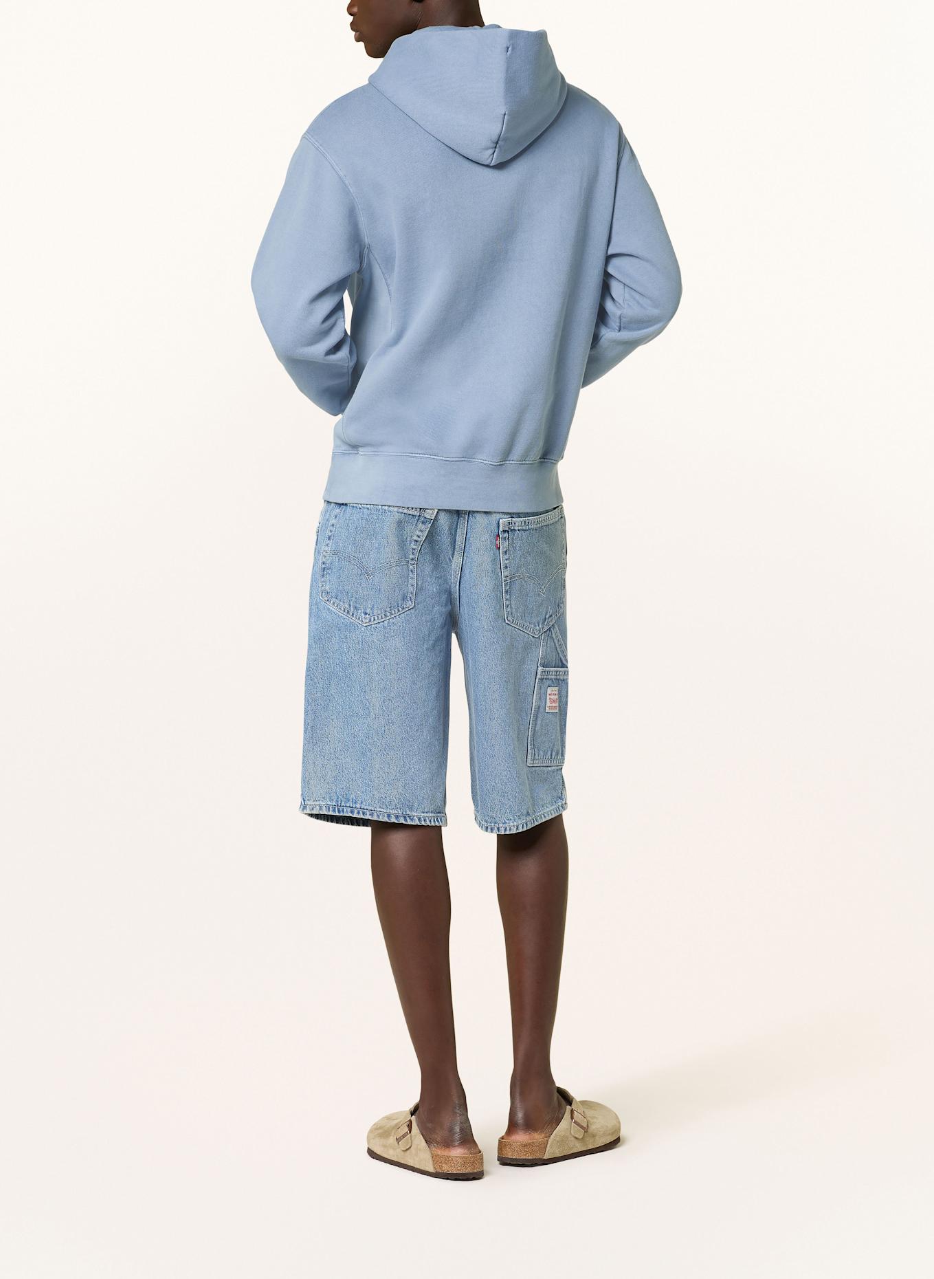 Levi's® Hoodie: BLUE GRAY