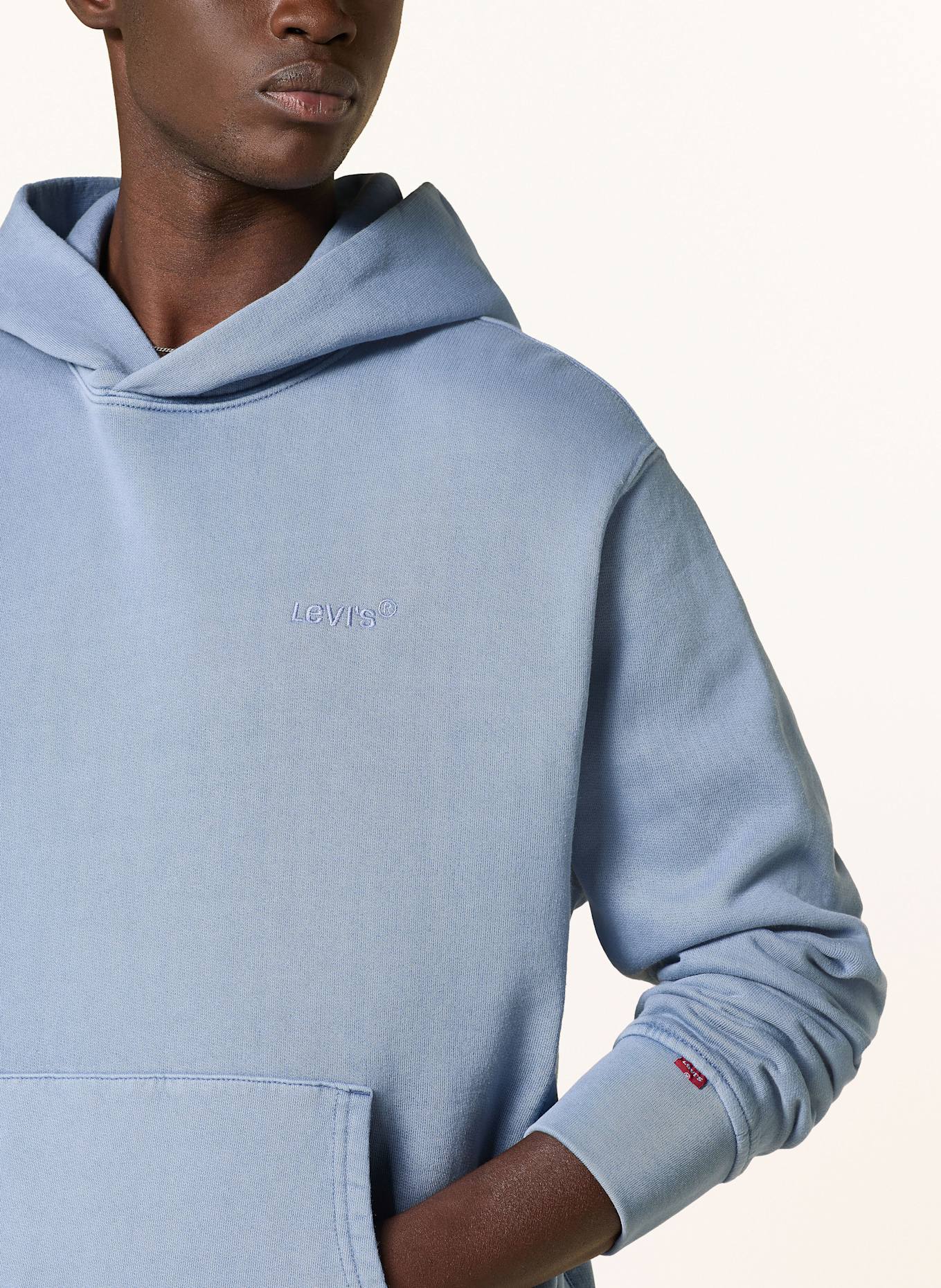 Levi's® Hoodie: BLUE GRAY