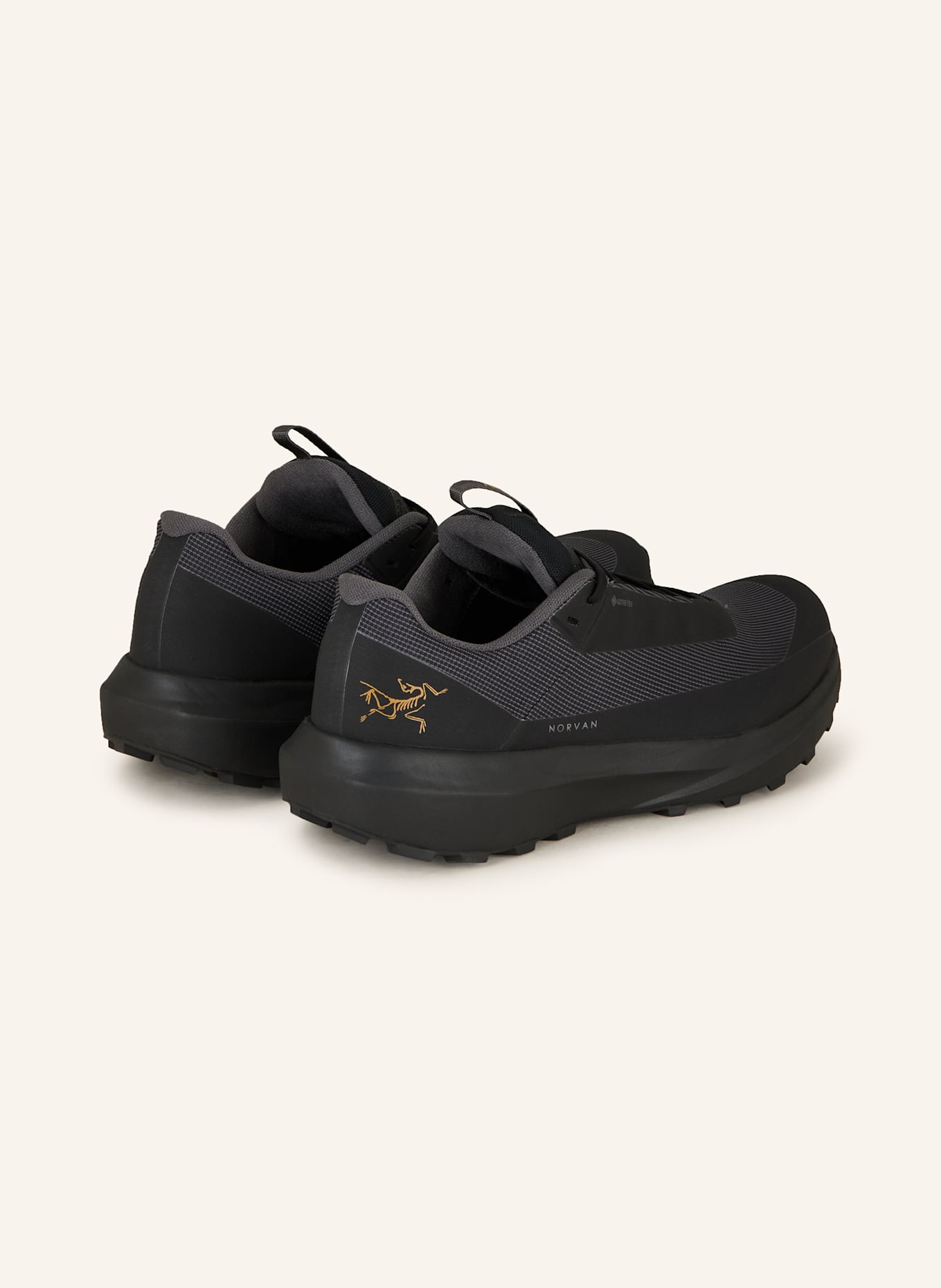 ARC'TERYX Trailrunning-Schuhe NORVAN LD 4 GTX: SCHWARZ