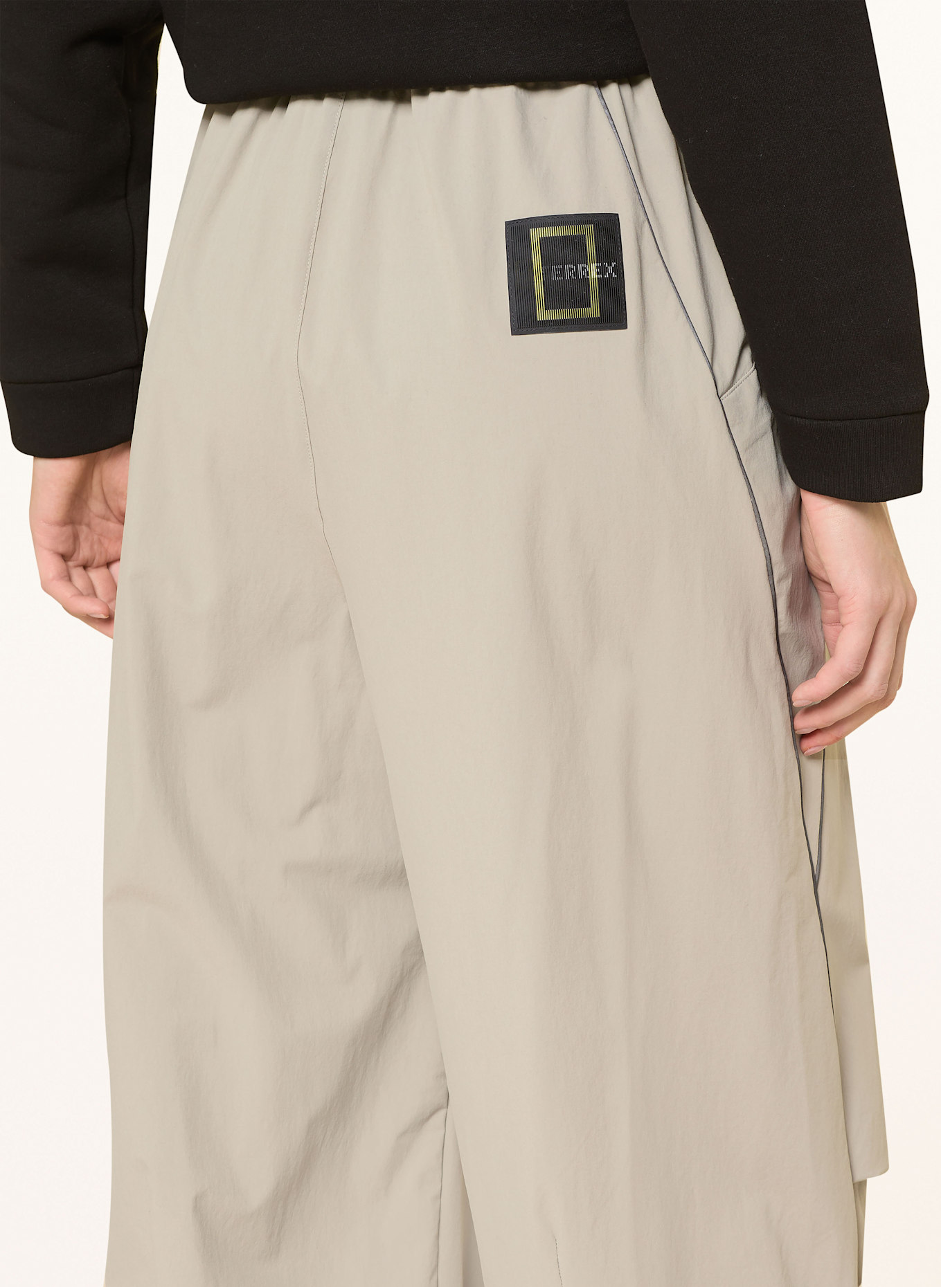 adidas TERREX Trekkinghose NAT GEO AEROREADY: TAUPE