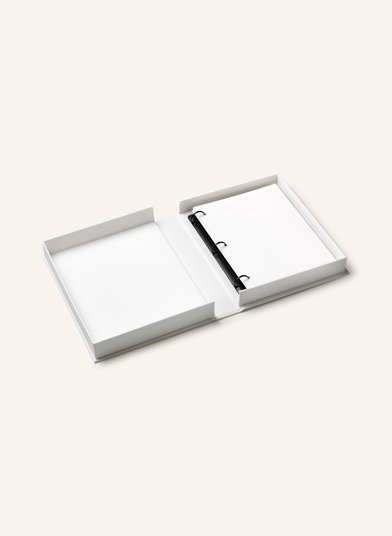 PRINTWORKS Photo album A STORY OF LOVE: WHITE / SILVER