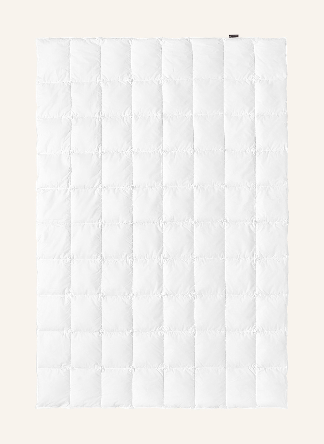 CENTA-STAR Couette d'été HEAVEN avec garnissage en duvet: BLANC
