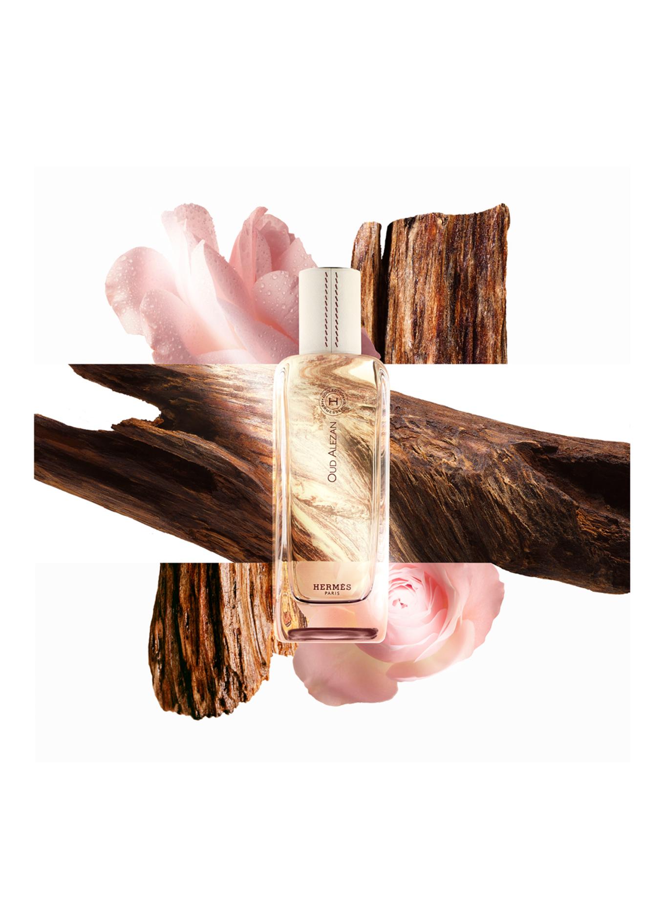 HERMÈS OUD ALEZAN