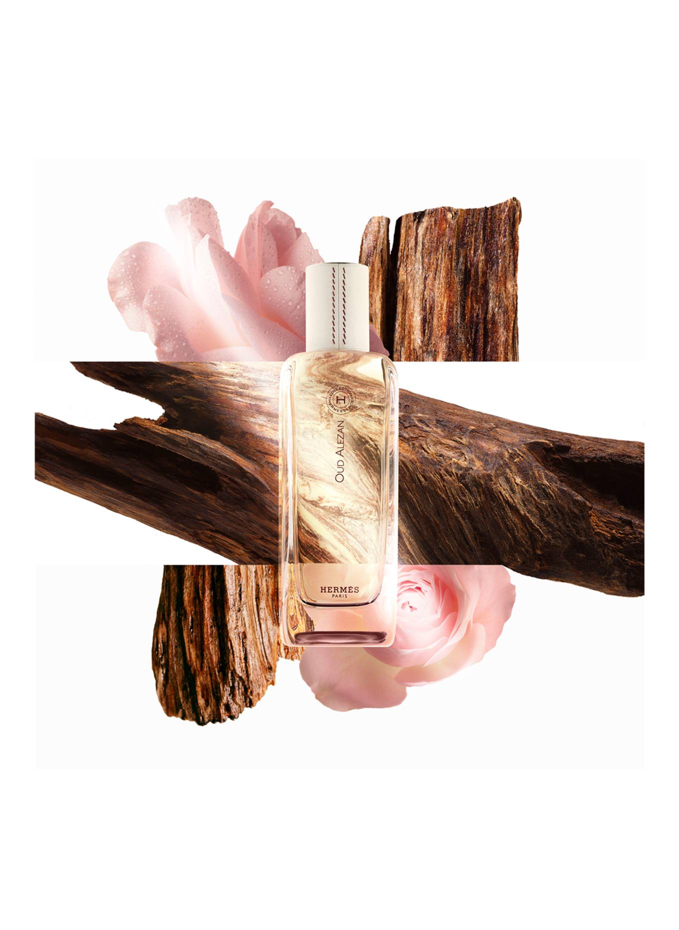 HERMÈS OUD ALEZAN